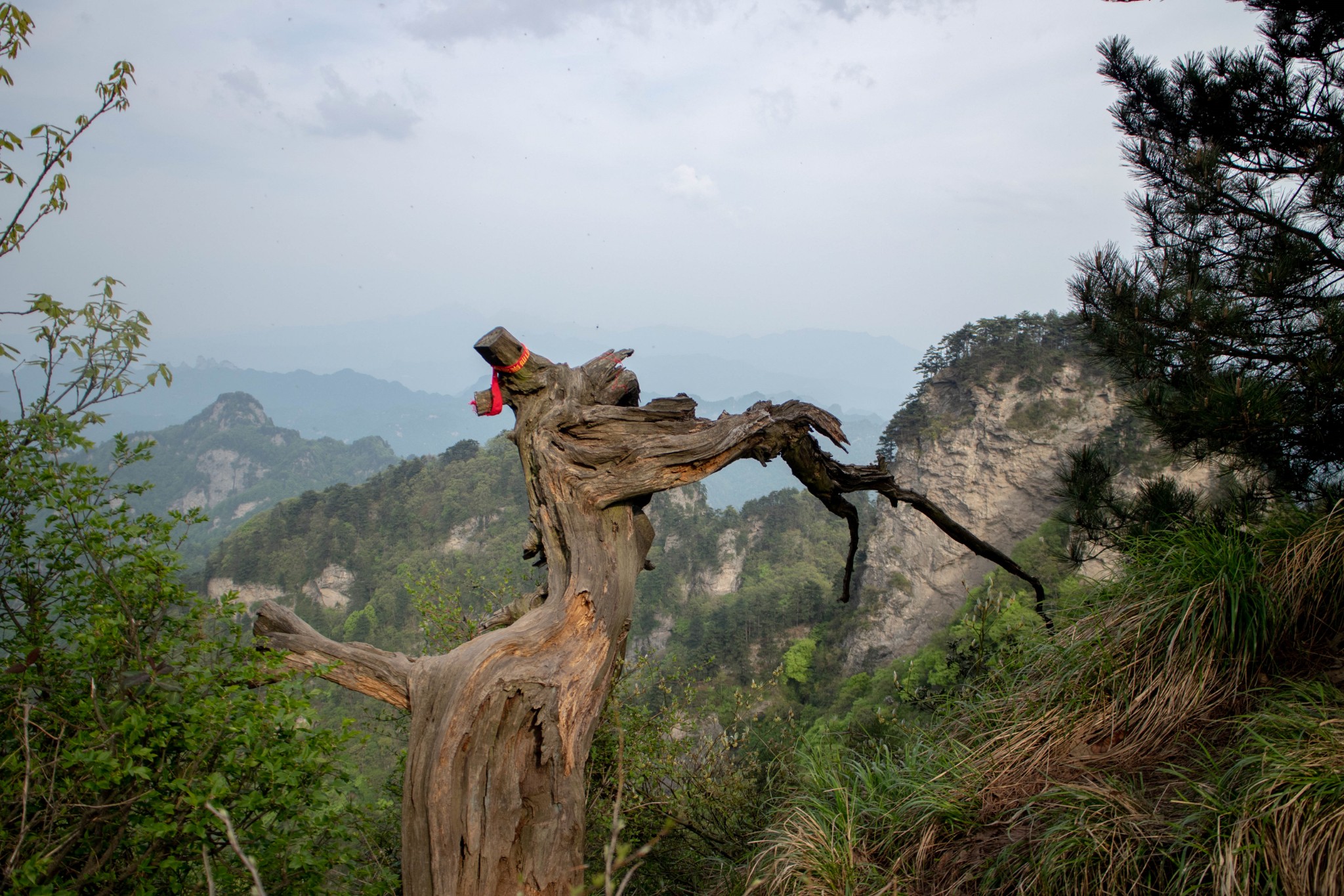 201678春游伏龙山,十堰自助游攻略 - 马蜂窝