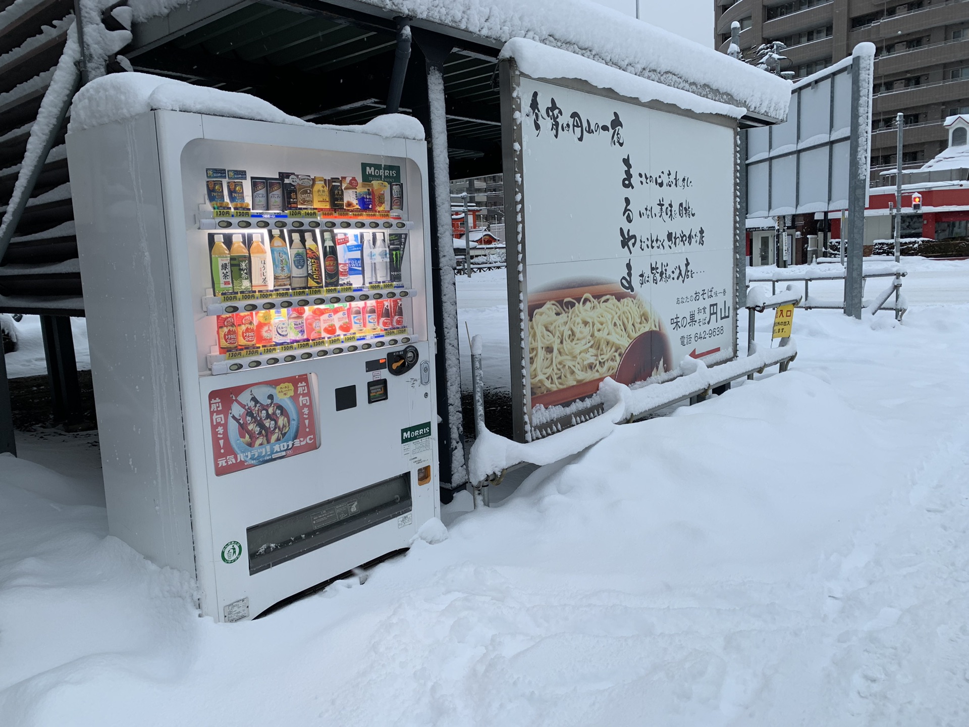 北海道自助遊攻略