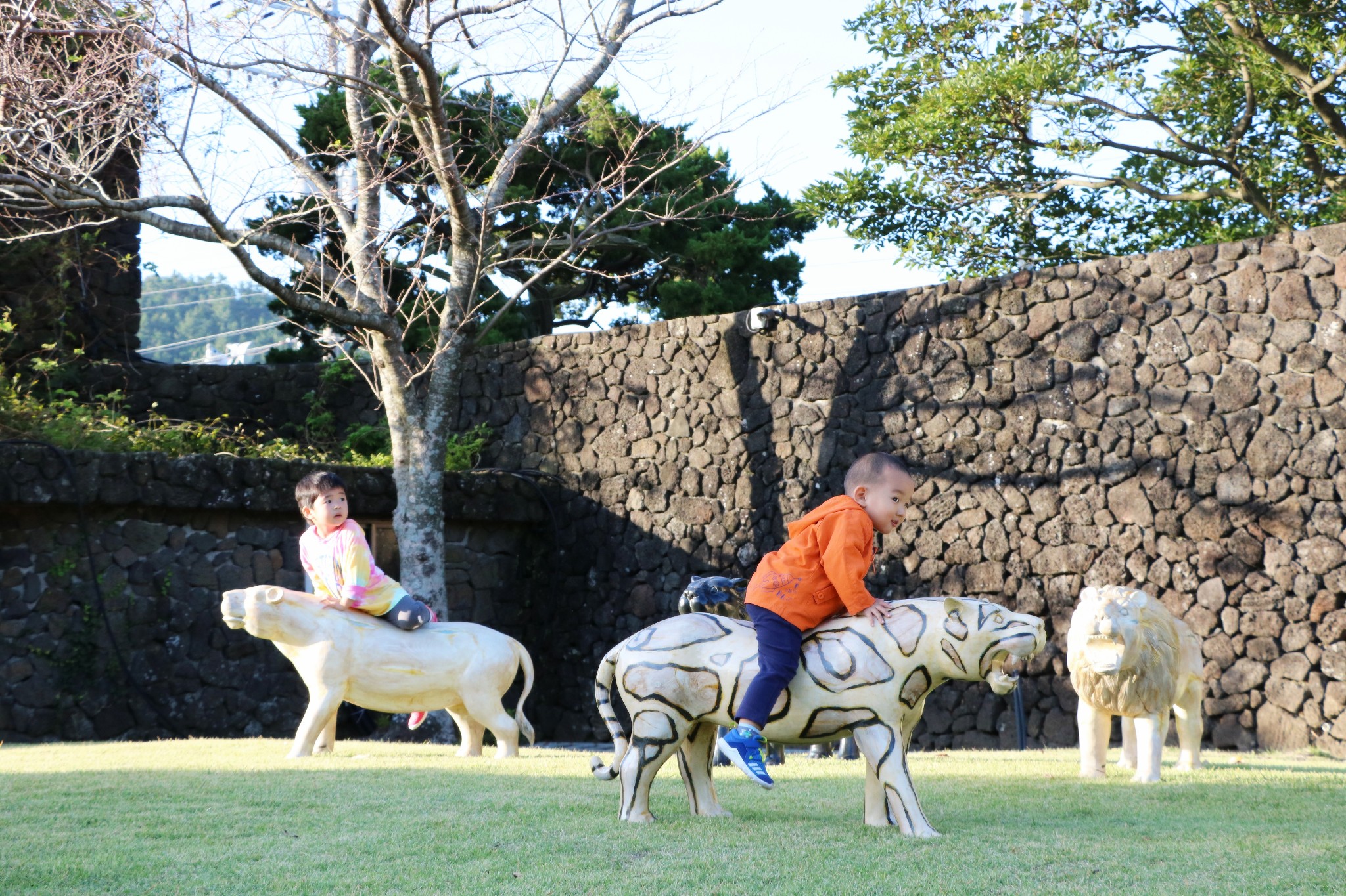 濟州島自助遊攻略