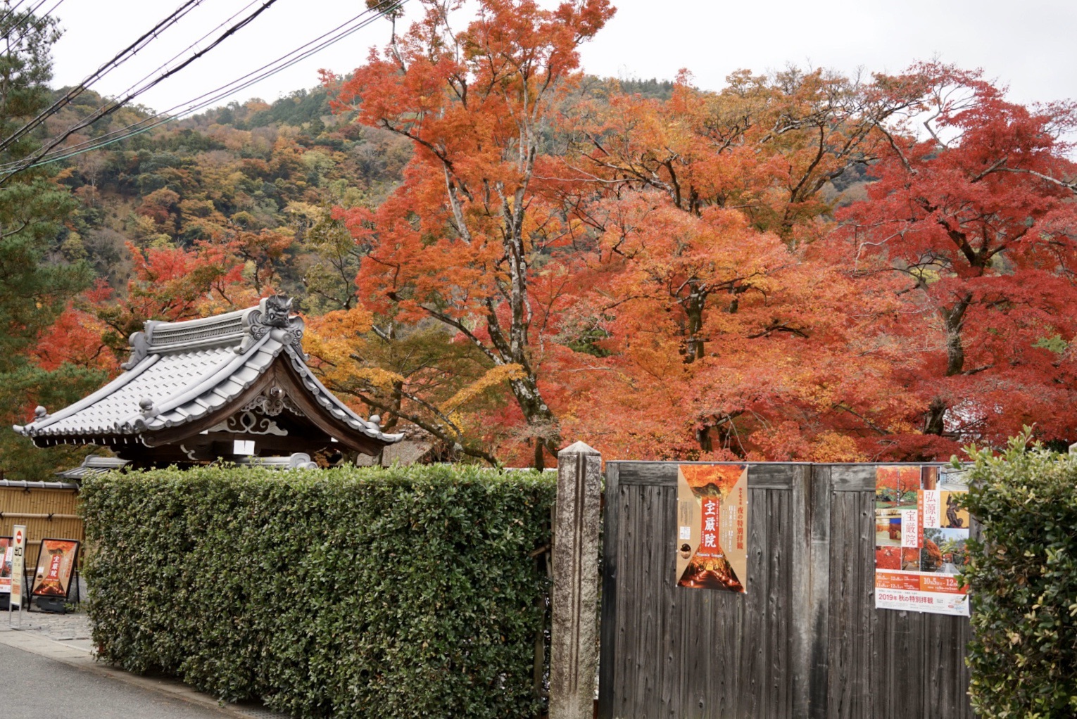 京都自助遊攻略