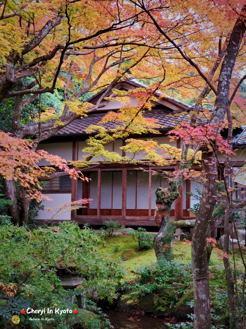 京都自助遊攻略