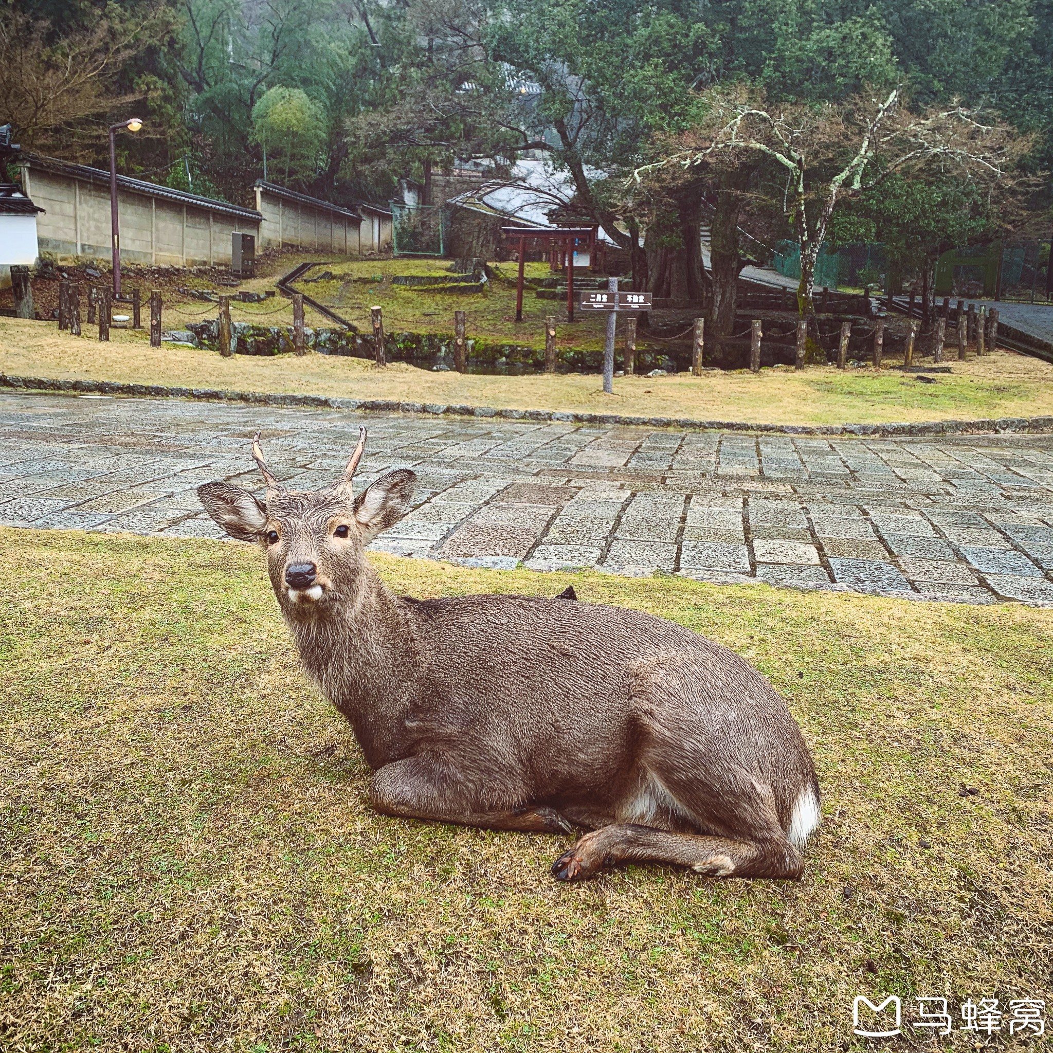 大阪自助遊攻略