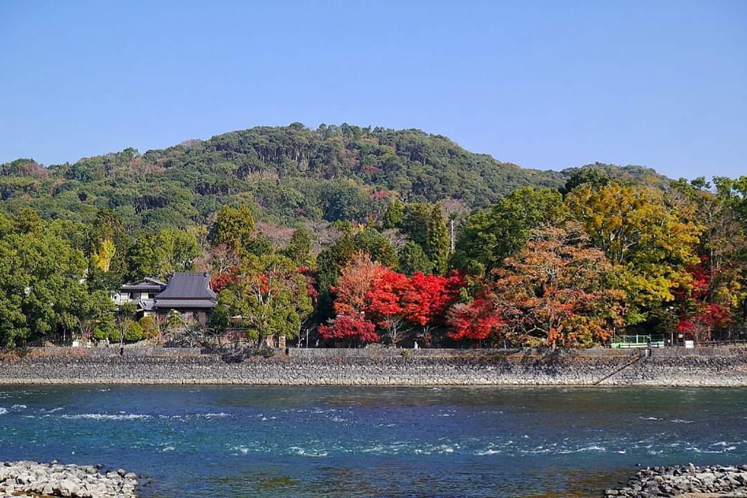 京都自助遊攻略