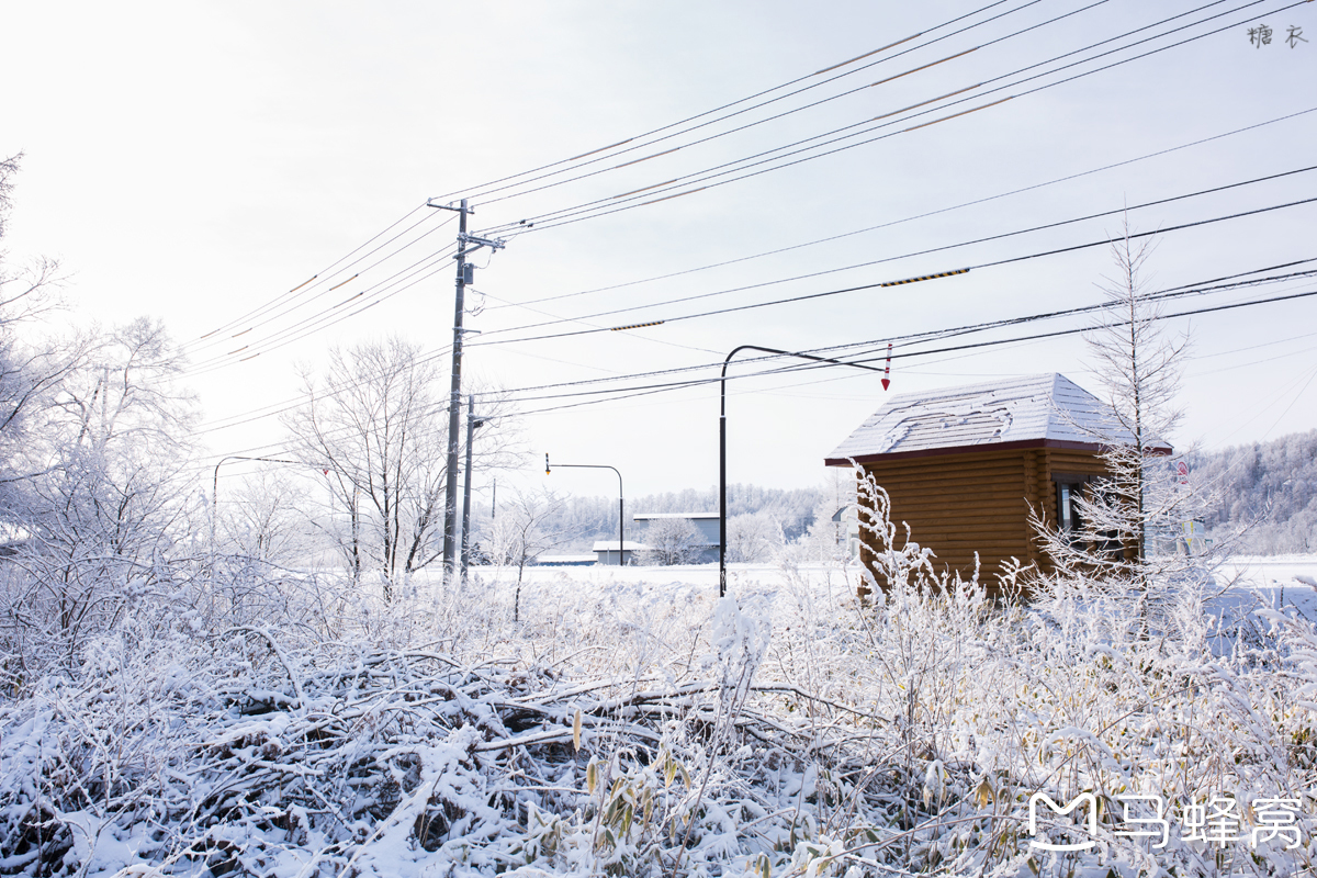 北海道自助遊攻略