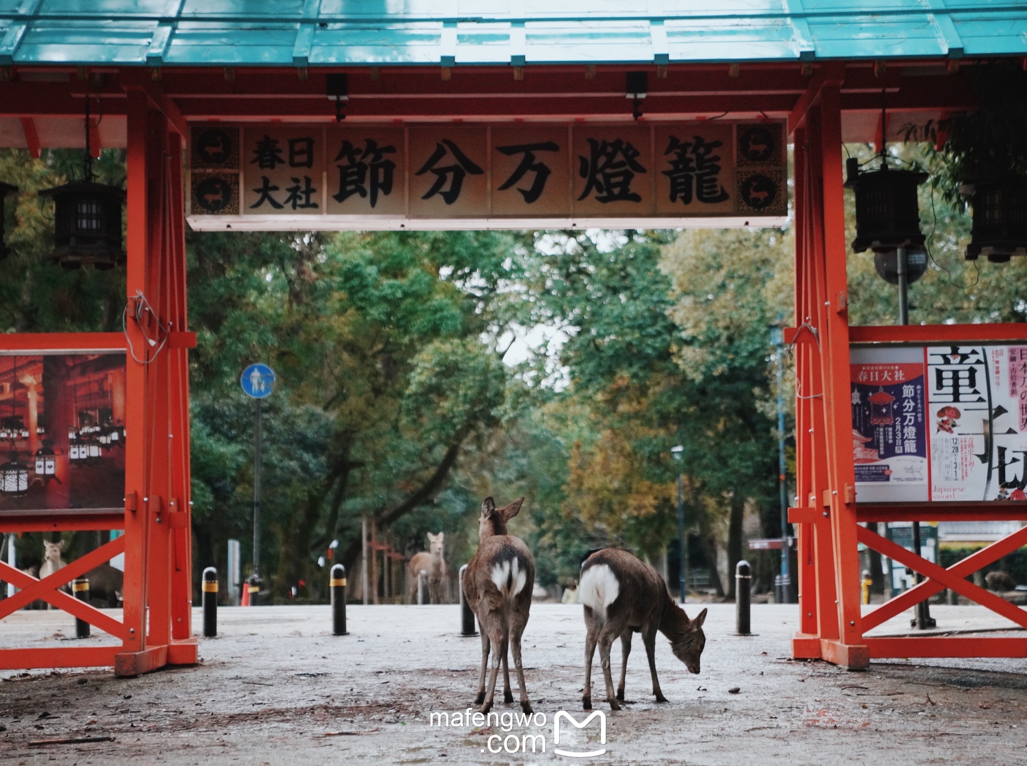 京都自助遊攻略