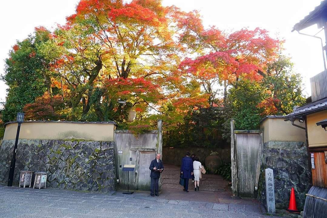 京都自助遊攻略