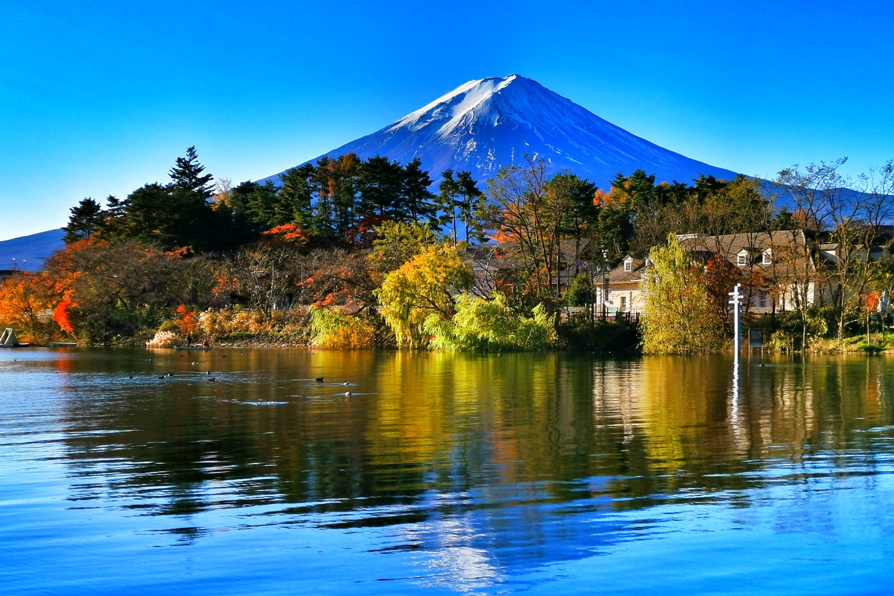 富士山自助遊攻略