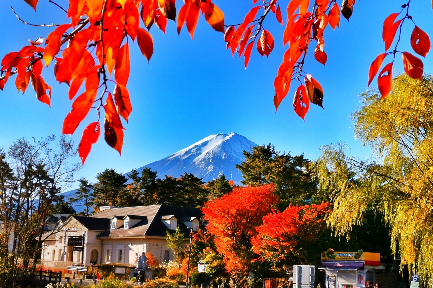 富士山自助遊攻略