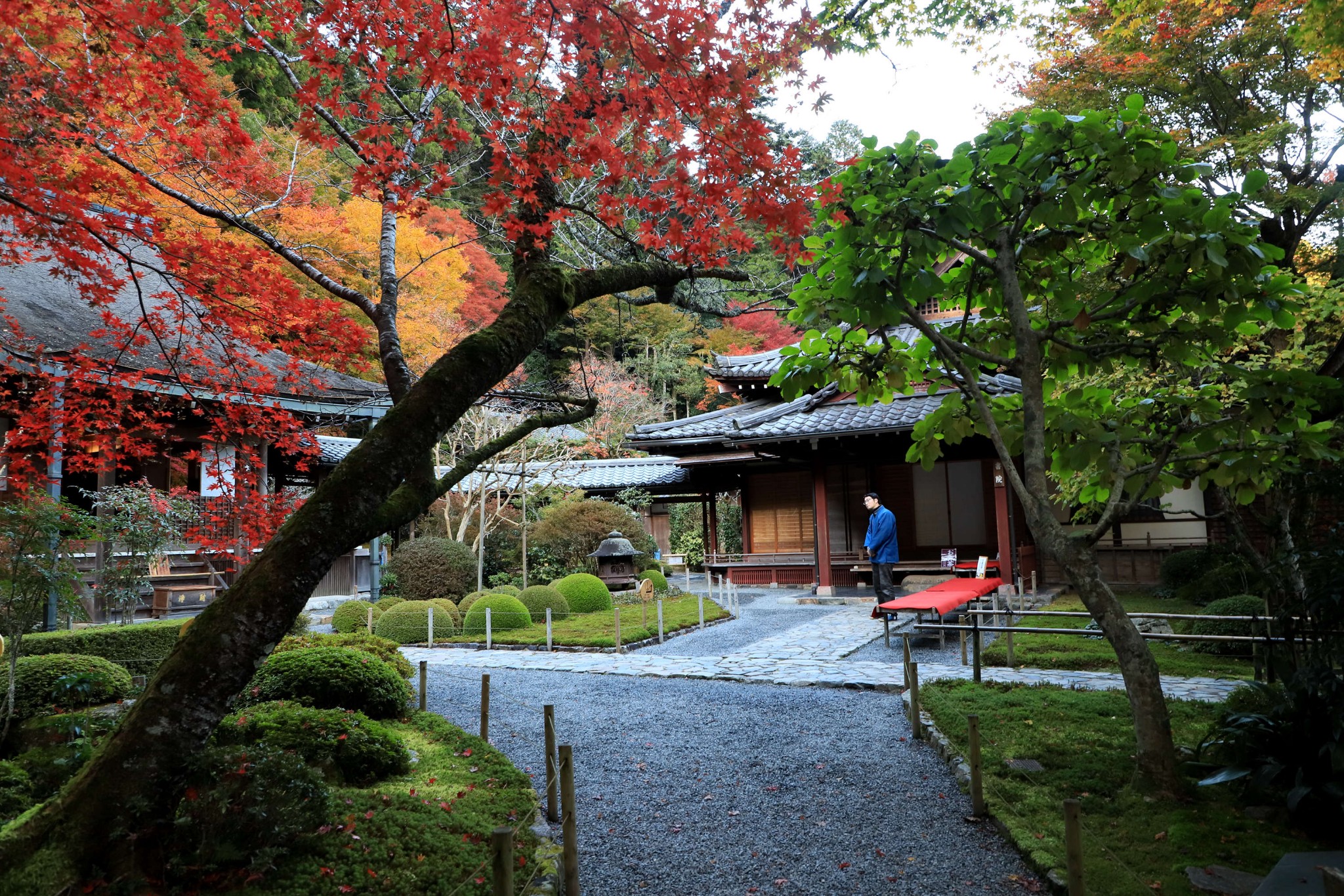 京都自助遊攻略