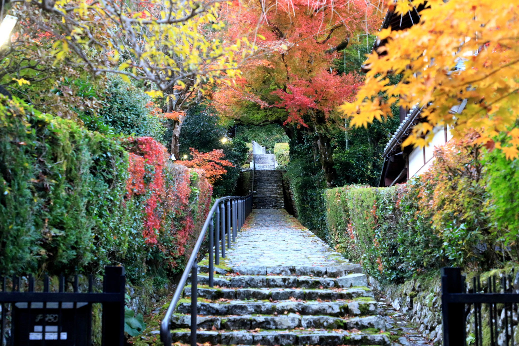 京都自助遊攻略