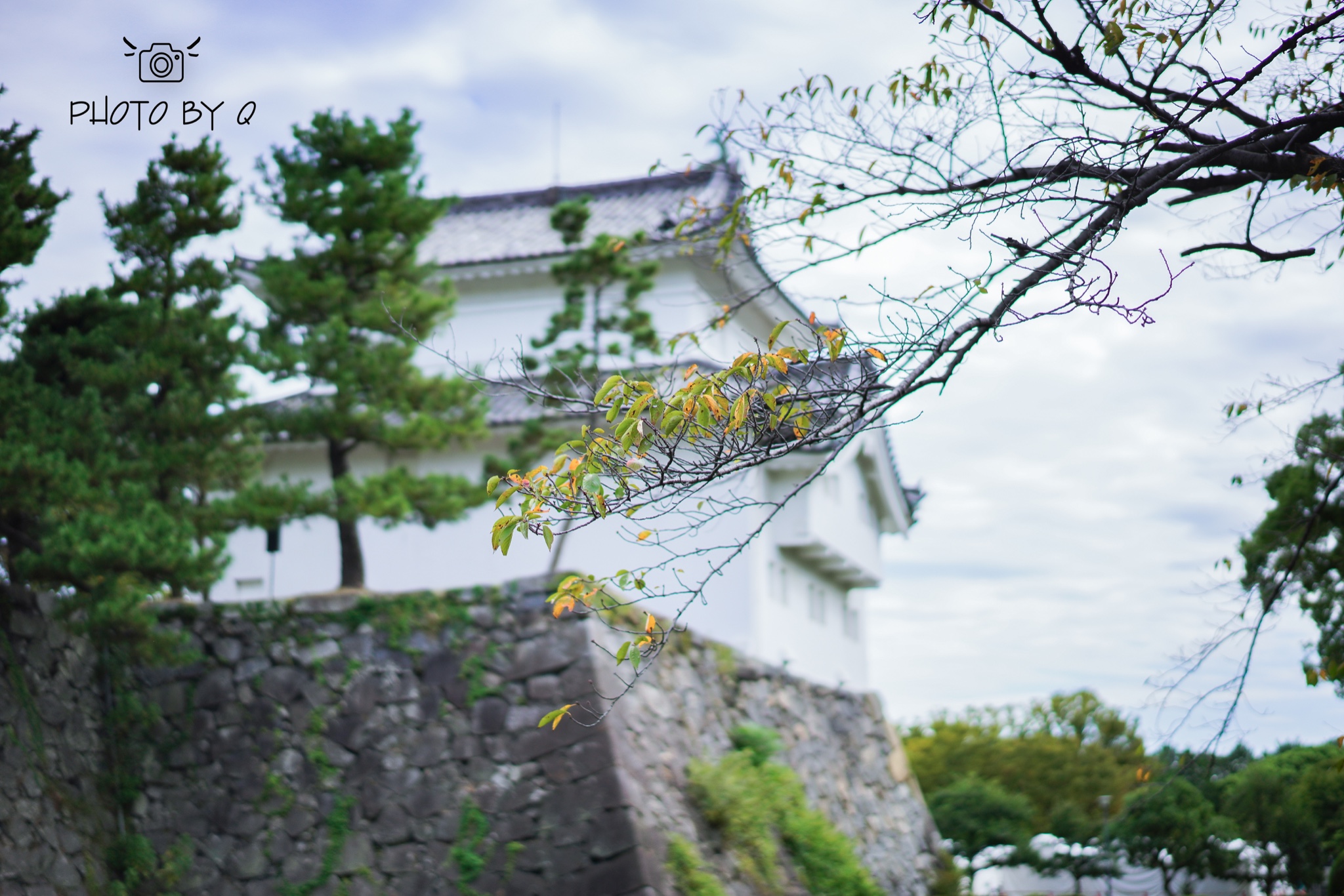 名古屋自助遊攻略