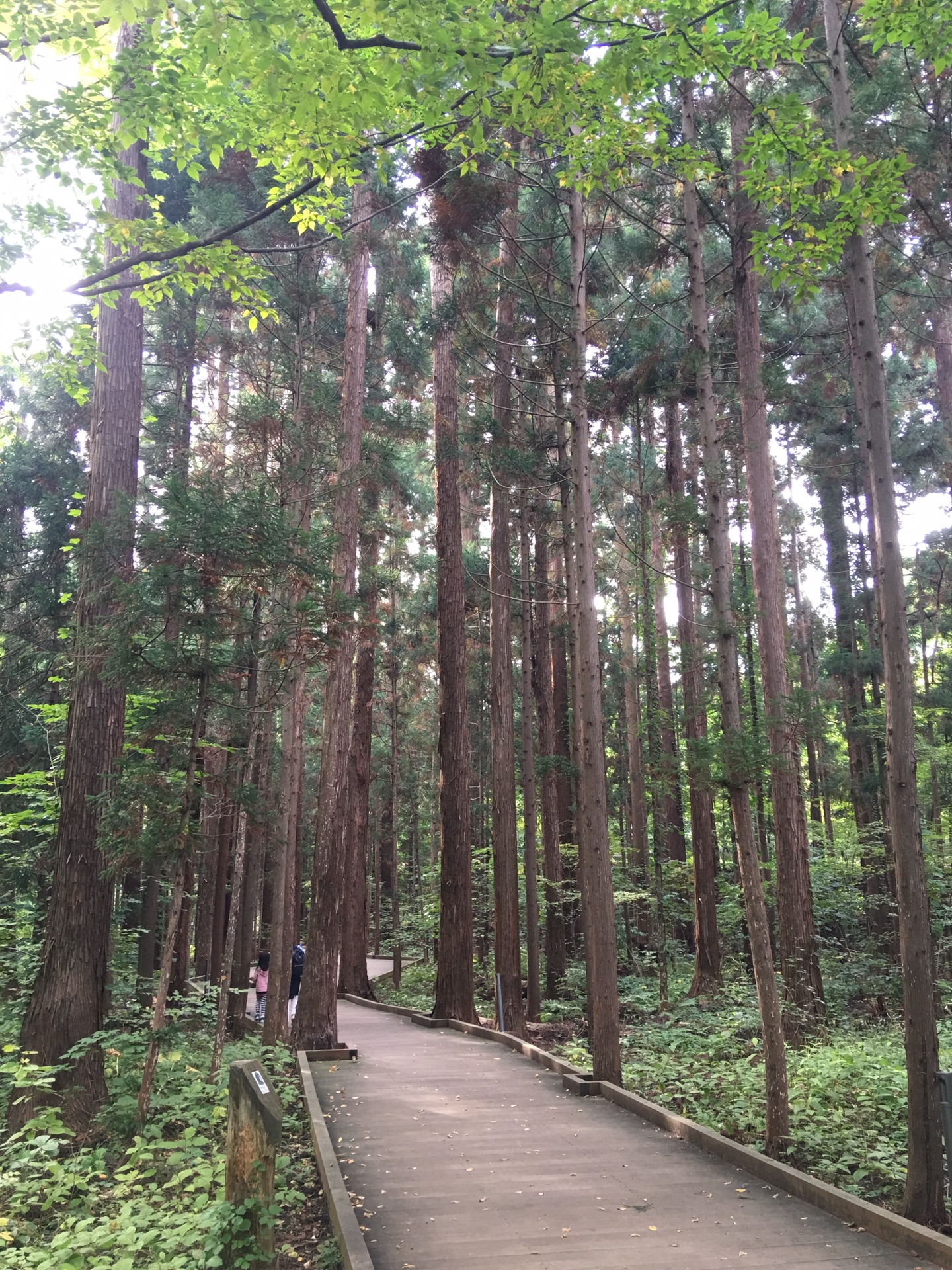 北海道自助遊攻略