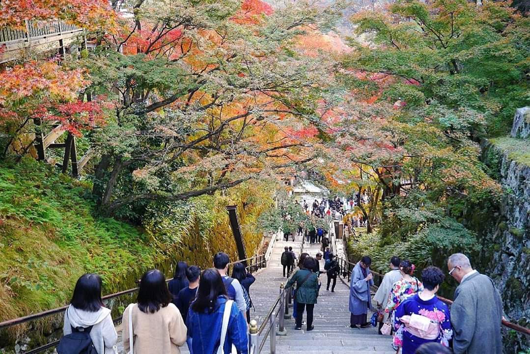 京都自助遊攻略