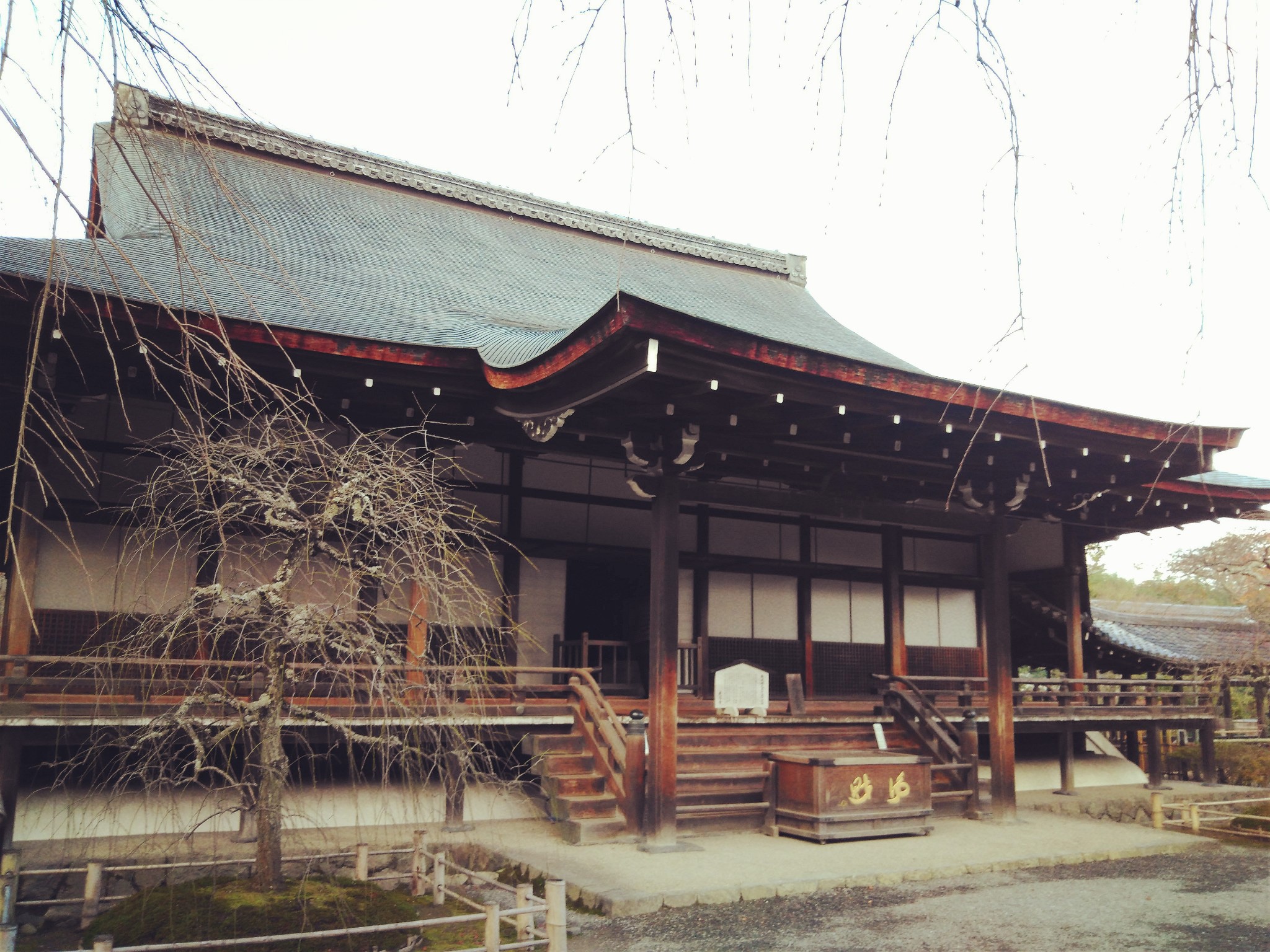 京都自助遊攻略