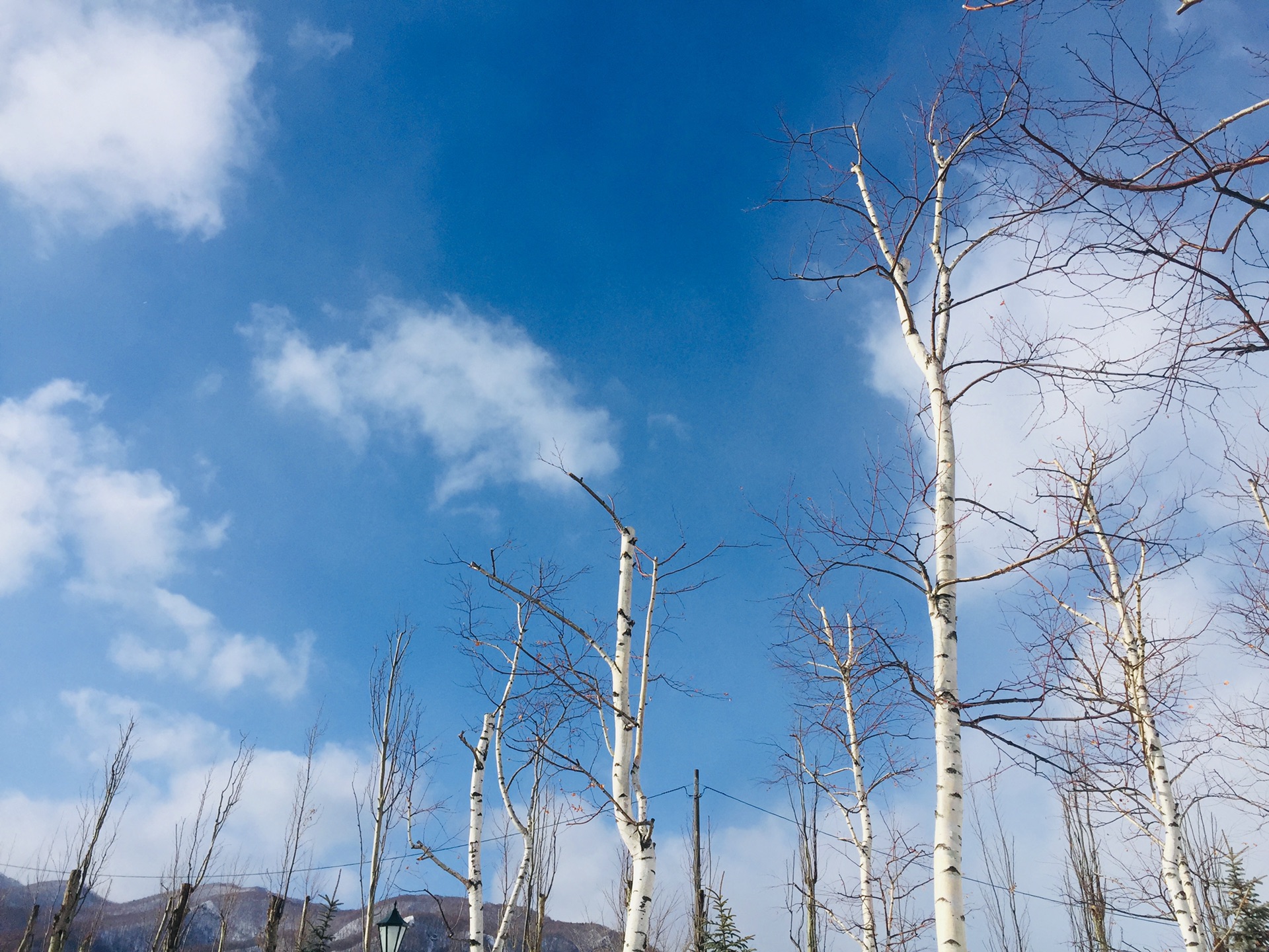 北海道自助遊攻略