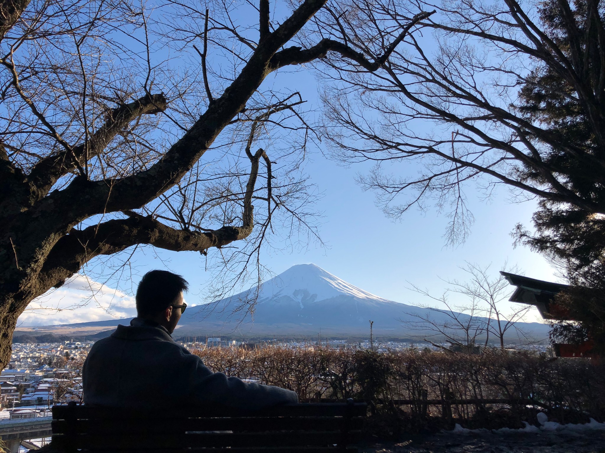 東京自助遊攻略