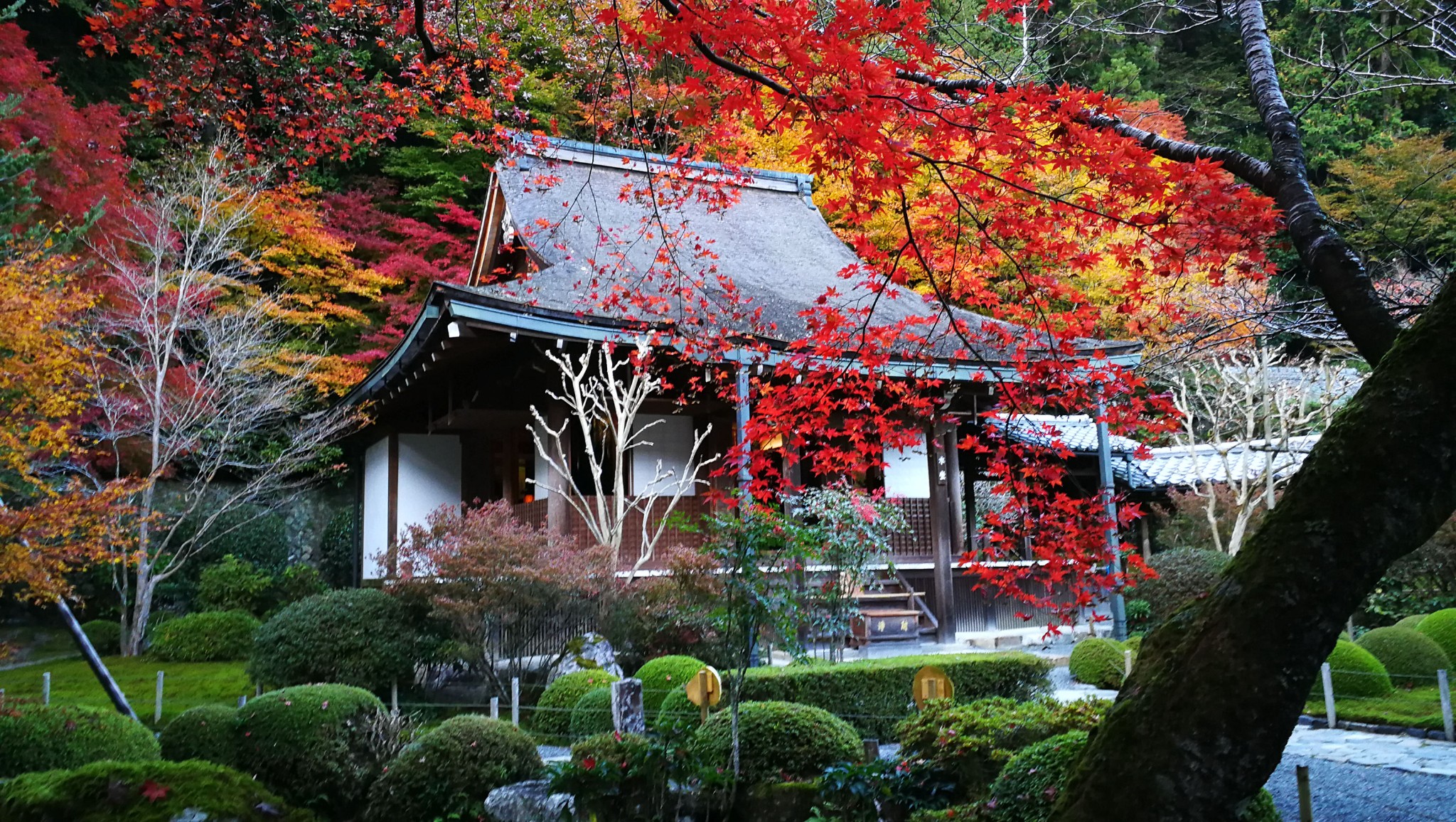 京都自助遊攻略