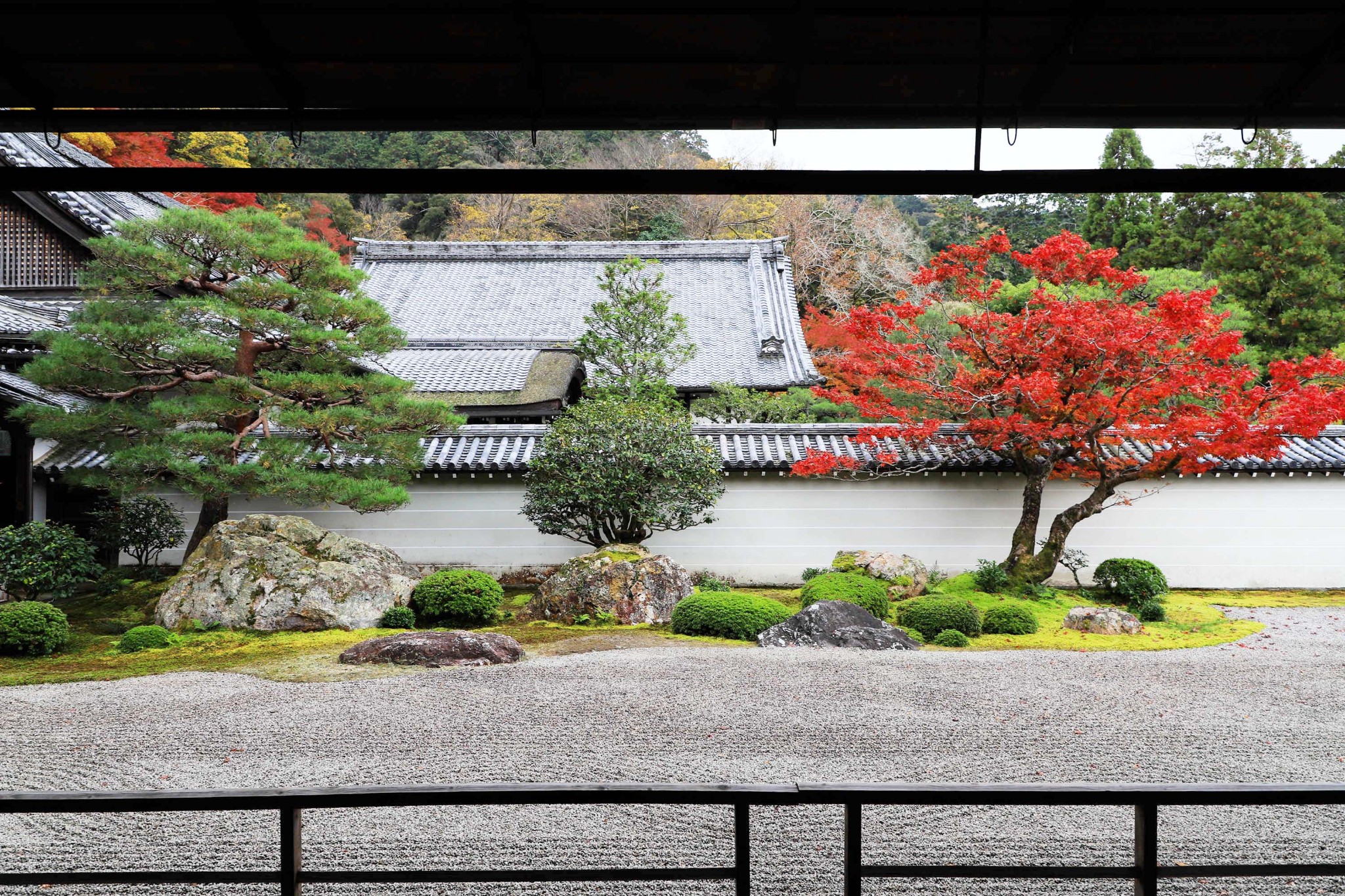 京都自助遊攻略