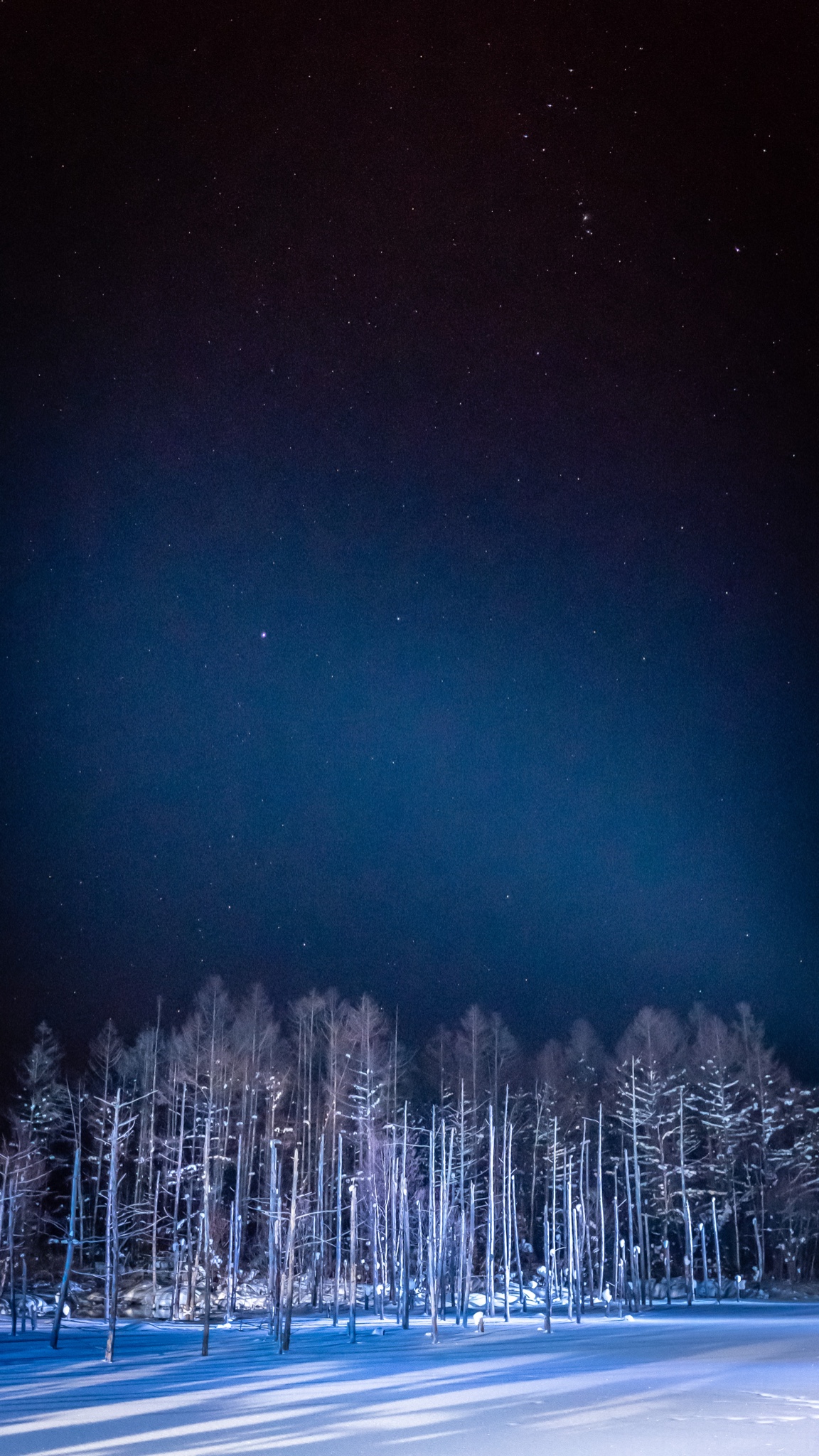 北海道自助遊攻略