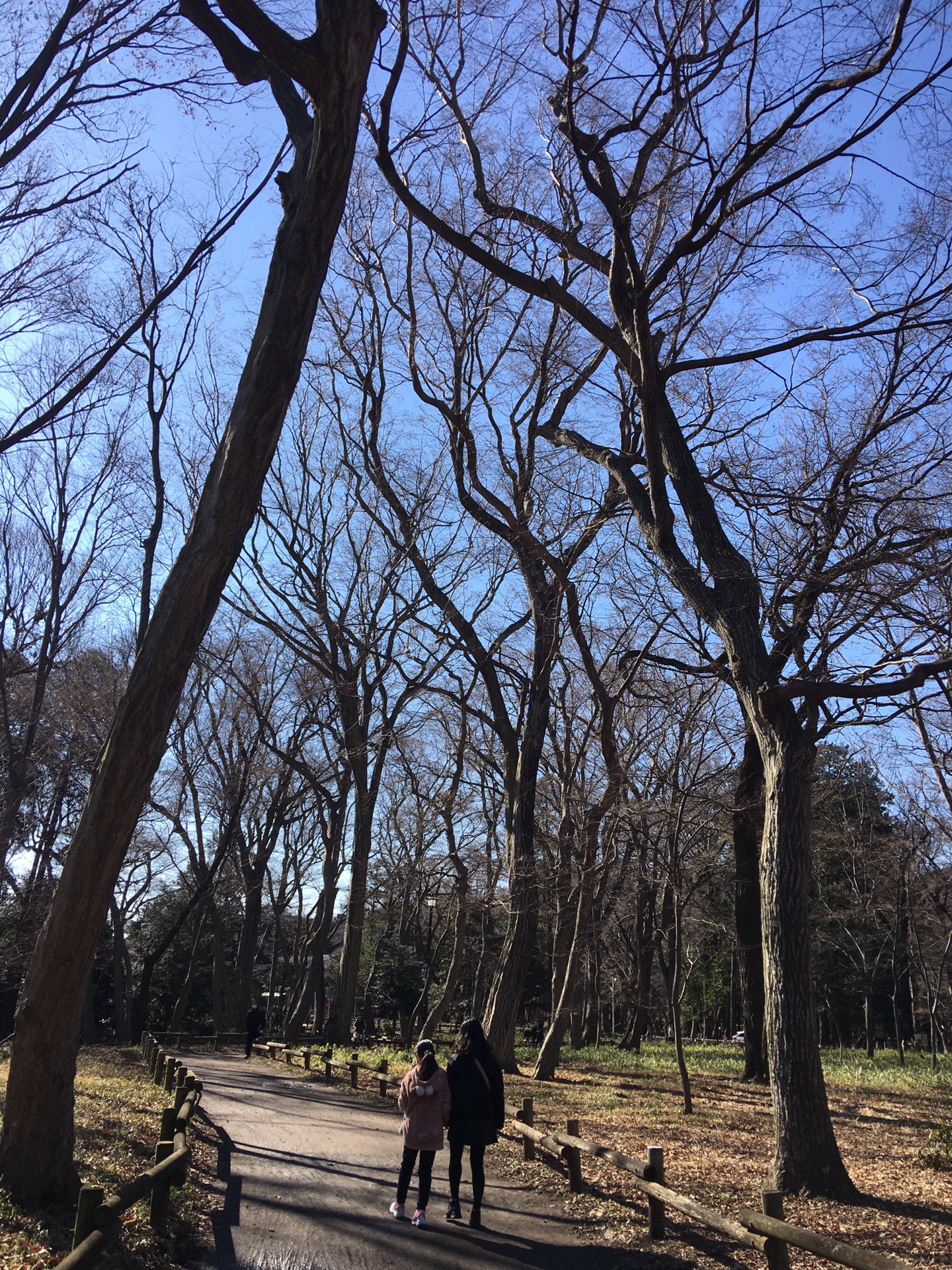 東京自助遊攻略