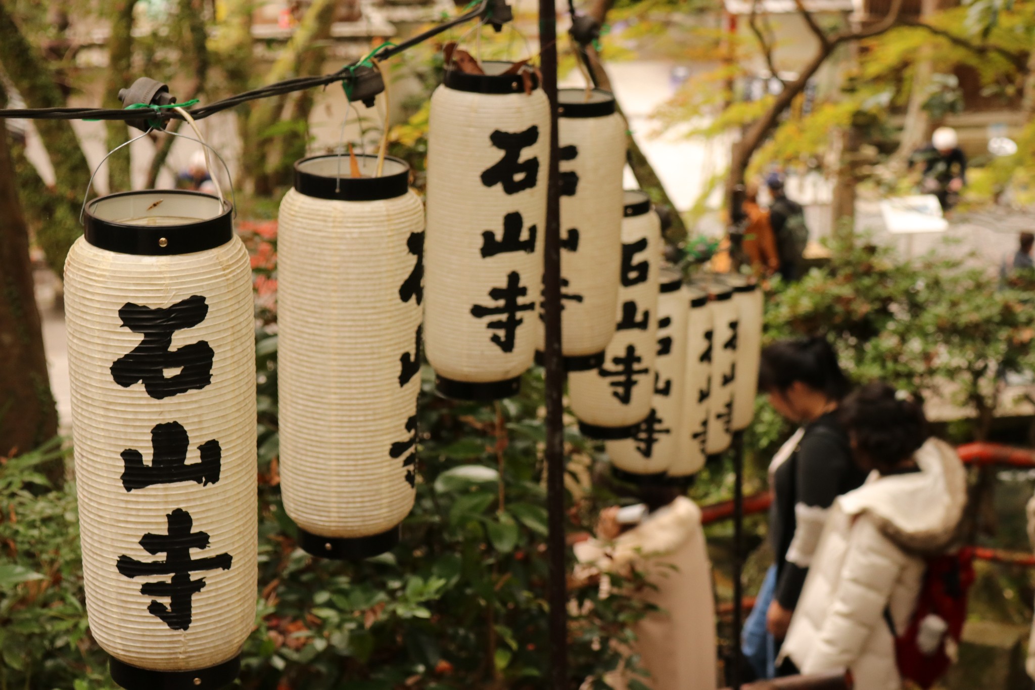 京都自助遊攻略