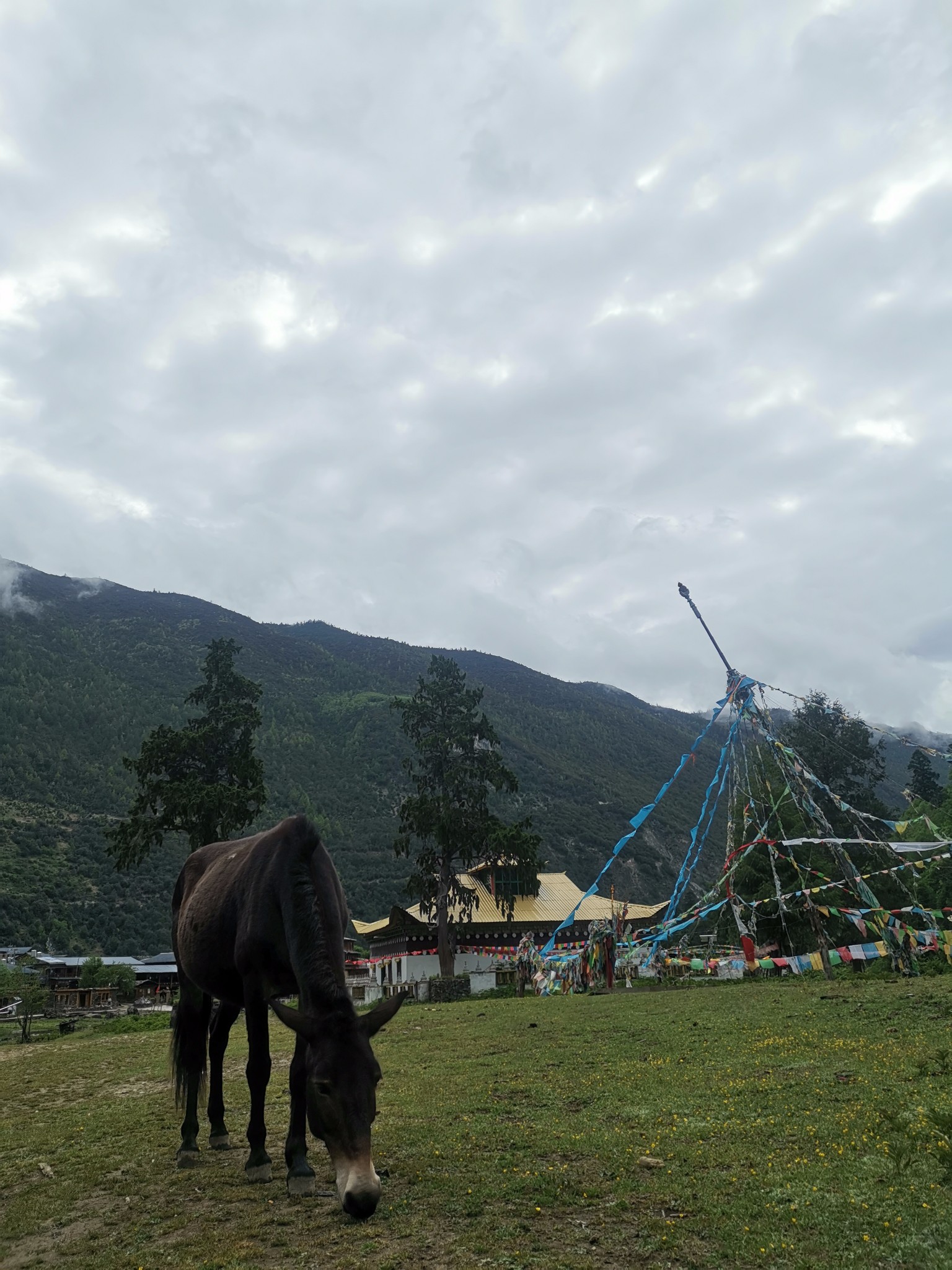 【雨崩】【遊記分享貼】不妨大膽一點,愛一個人,爬一坐山