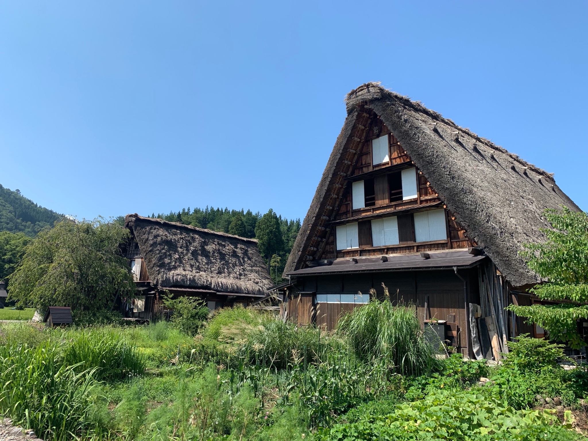 名古屋自助遊攻略