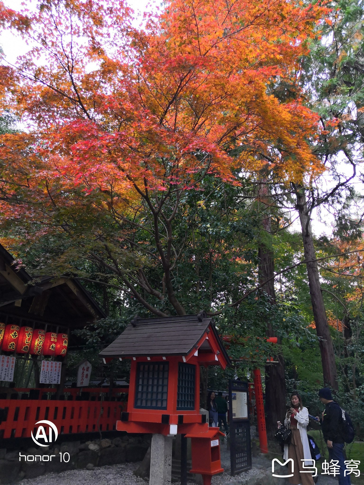 京都自助遊攻略