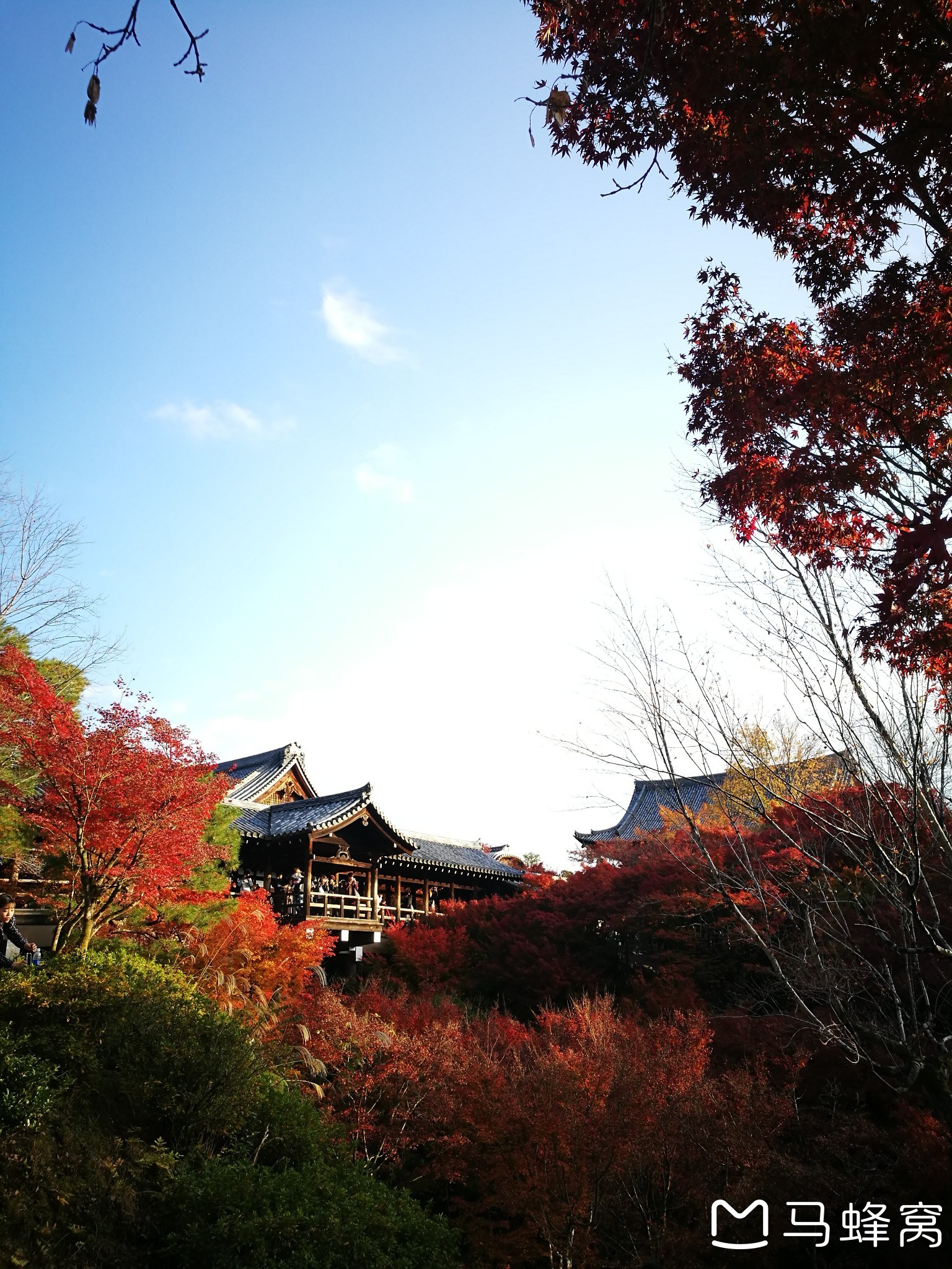 京都自助遊攻略