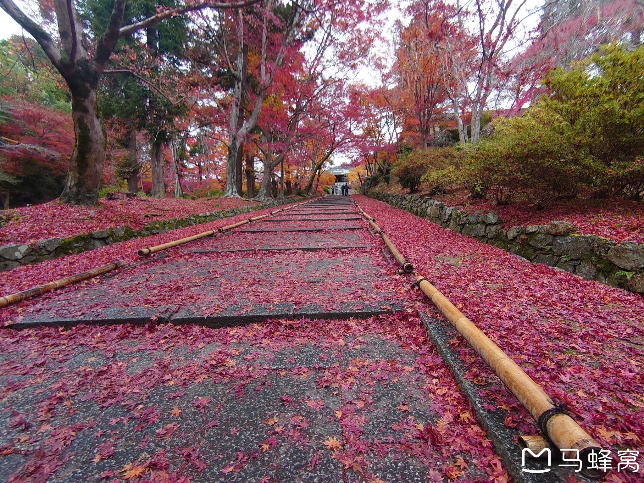 京都自助遊攻略