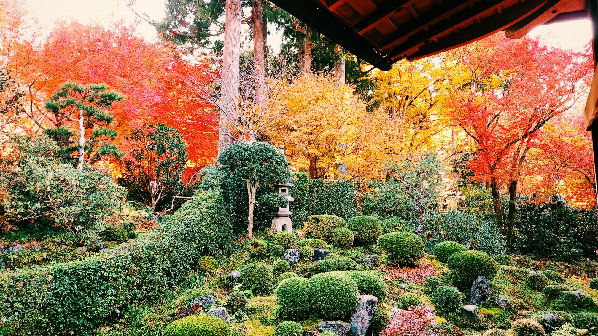 京都自助遊攻略