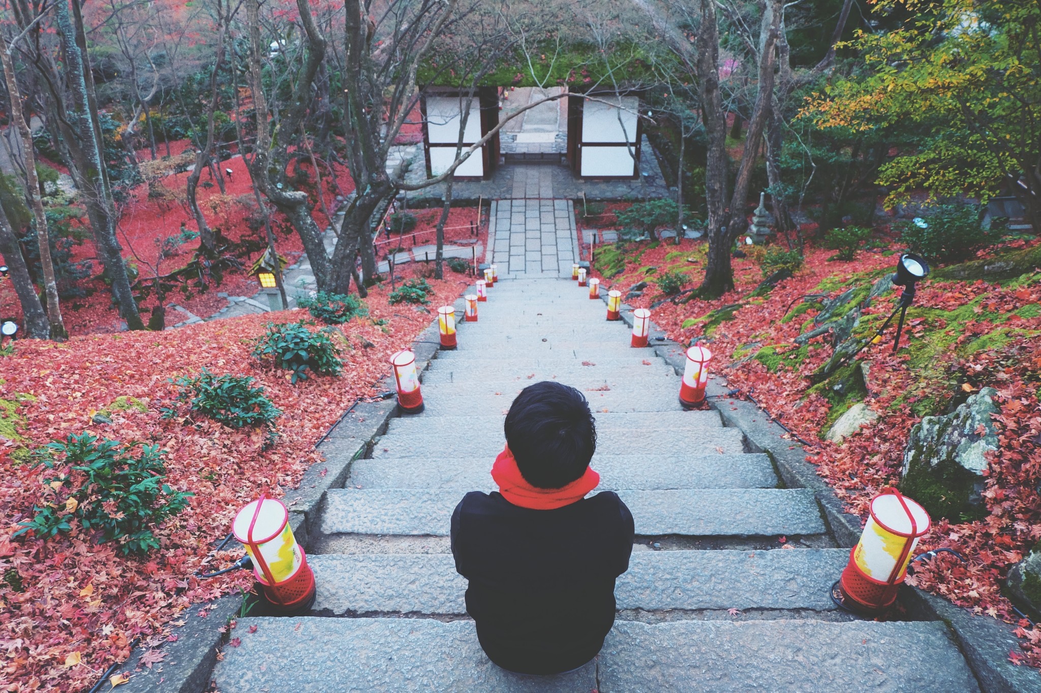 京都自助遊攻略