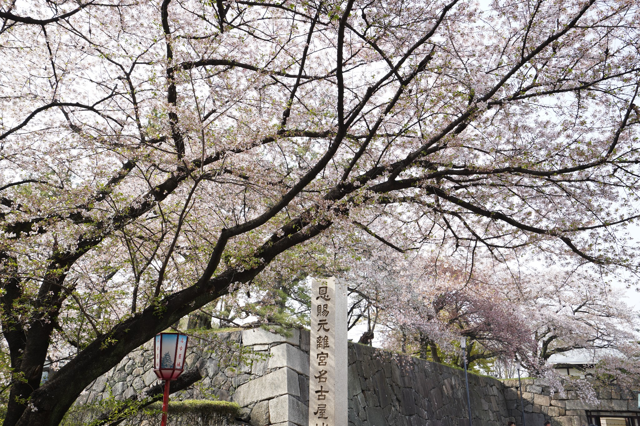 名古屋自助遊攻略