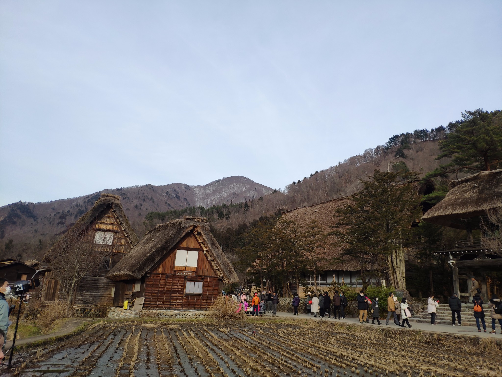 名古屋自助遊攻略