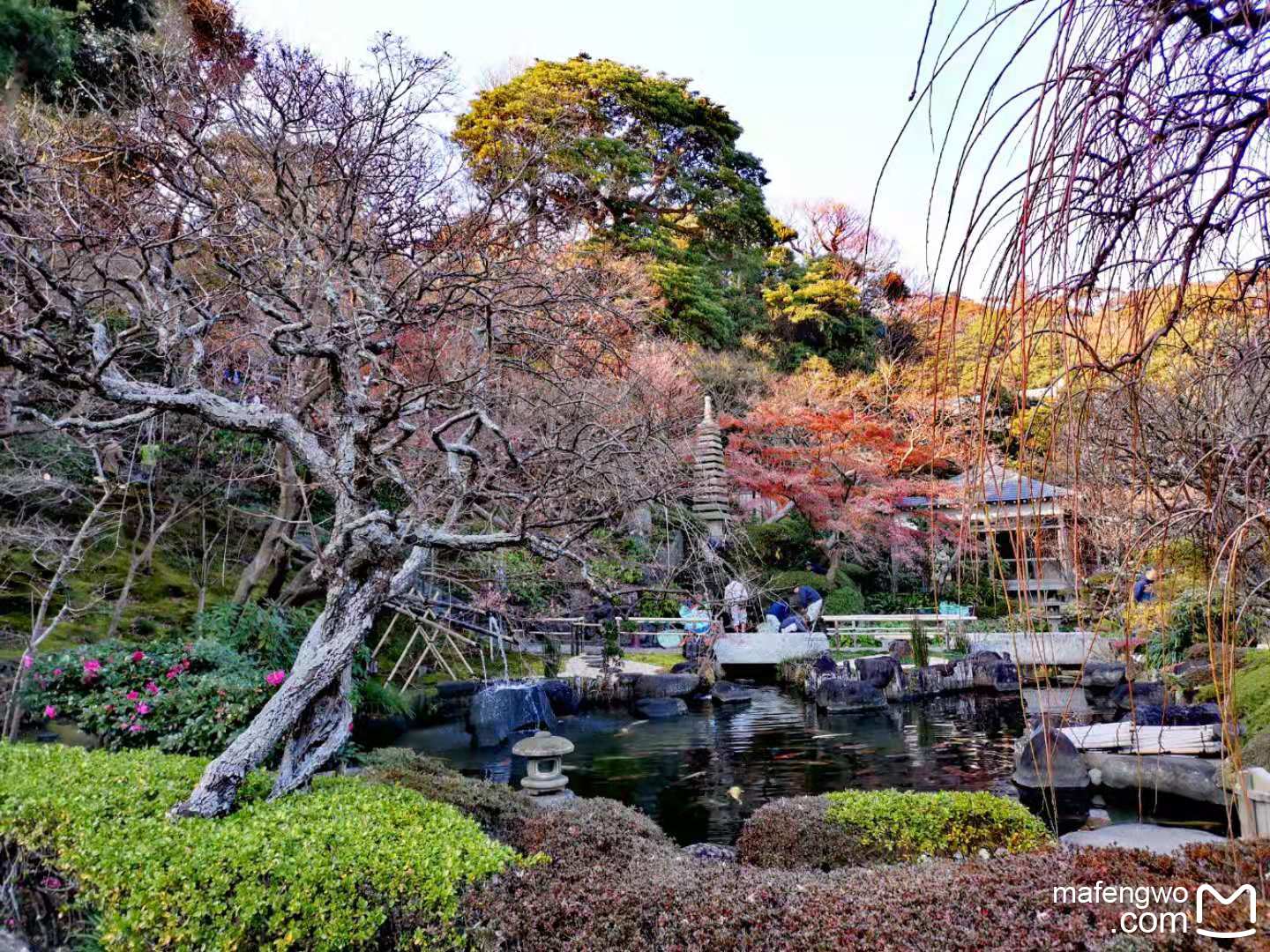 東京自助遊攻略