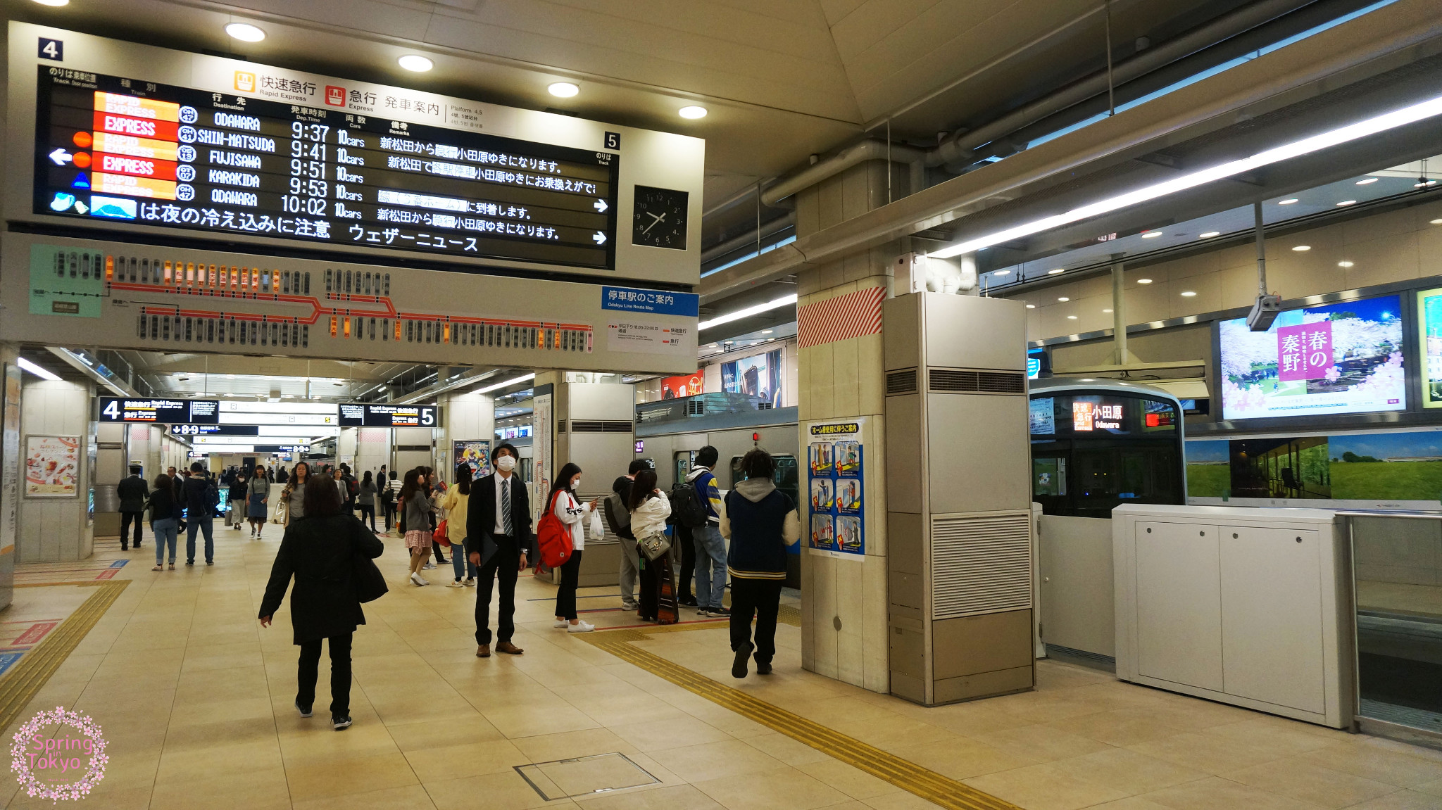 東京自助遊攻略