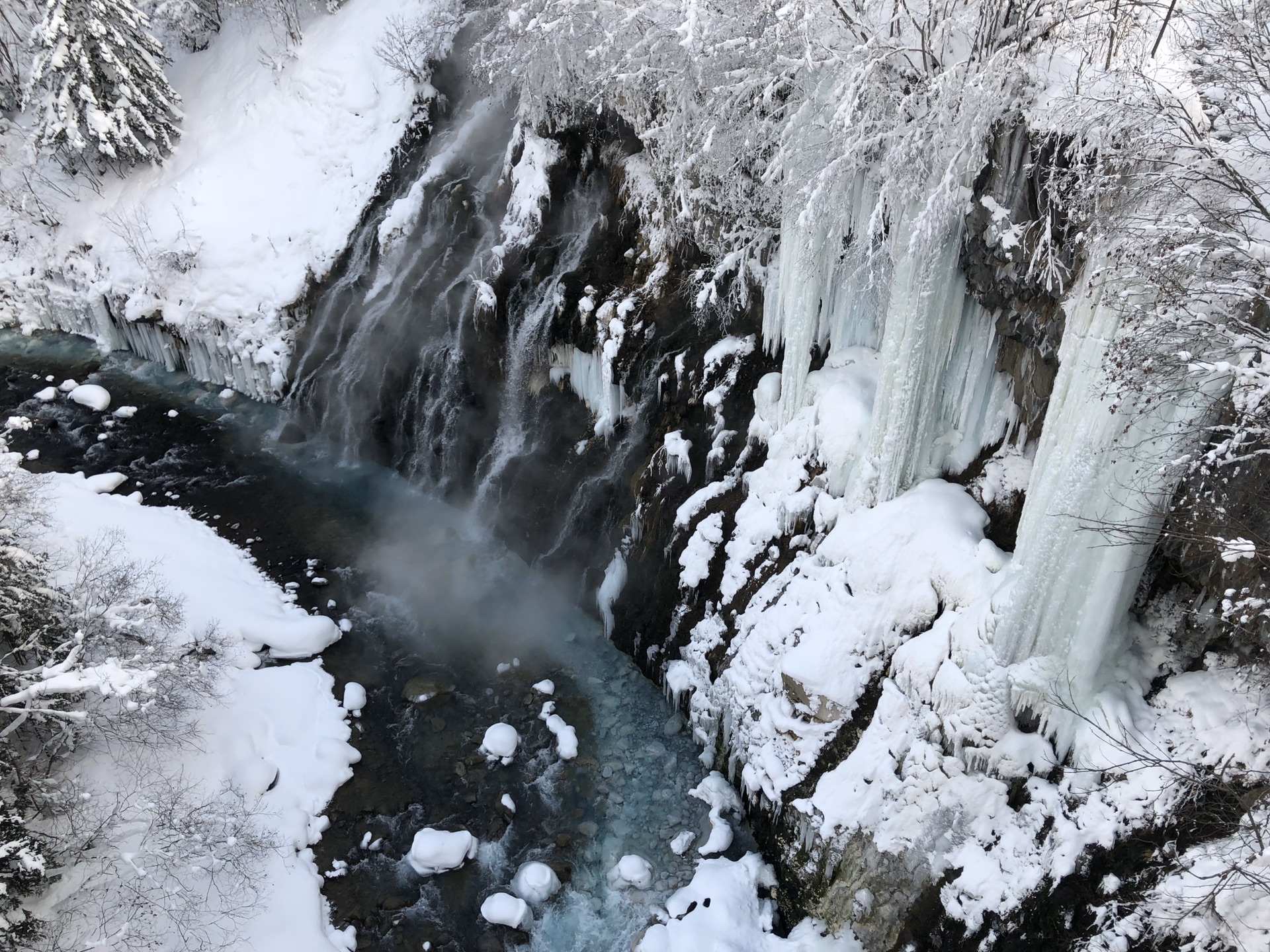 北海道自助遊攻略