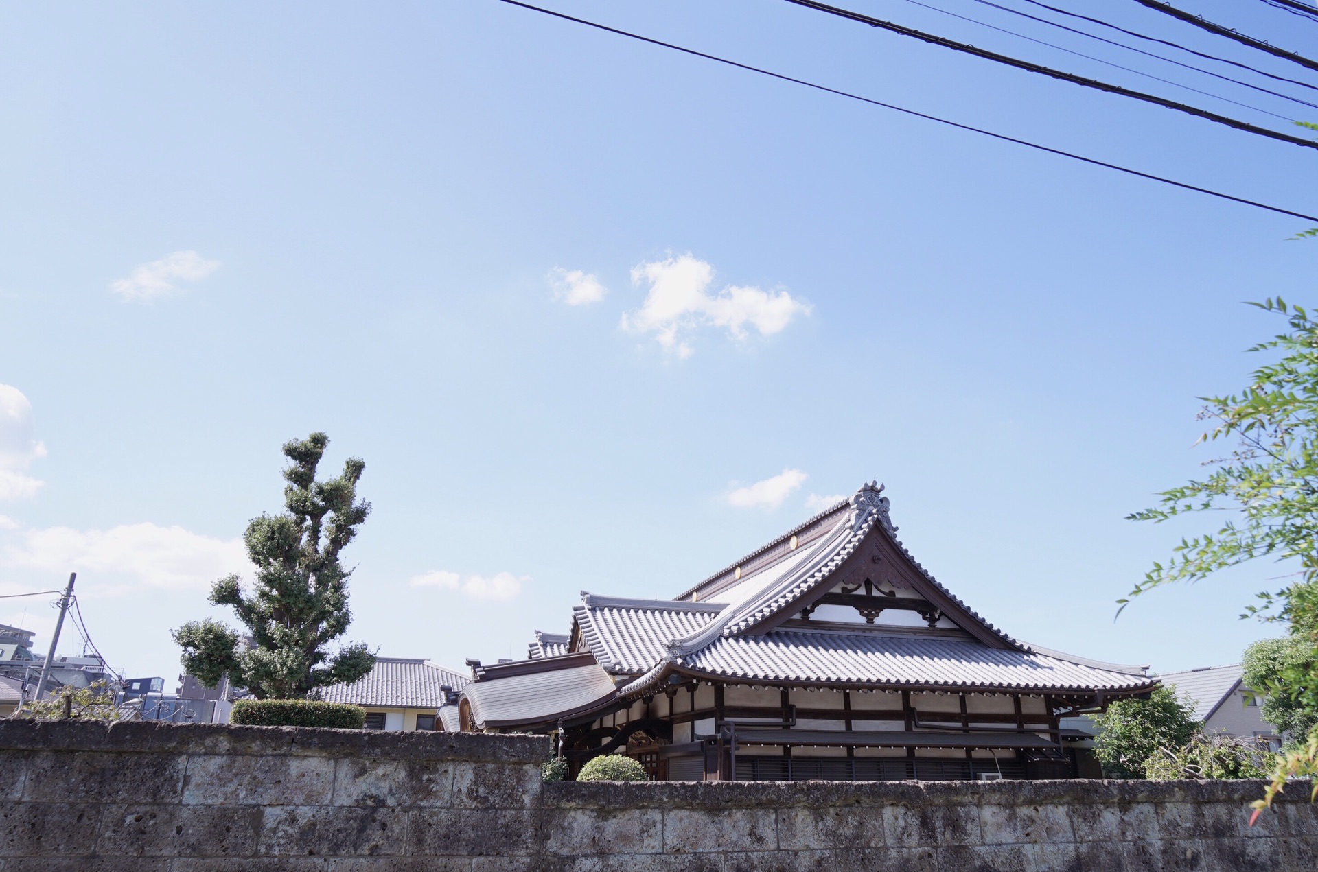 東京自助遊攻略