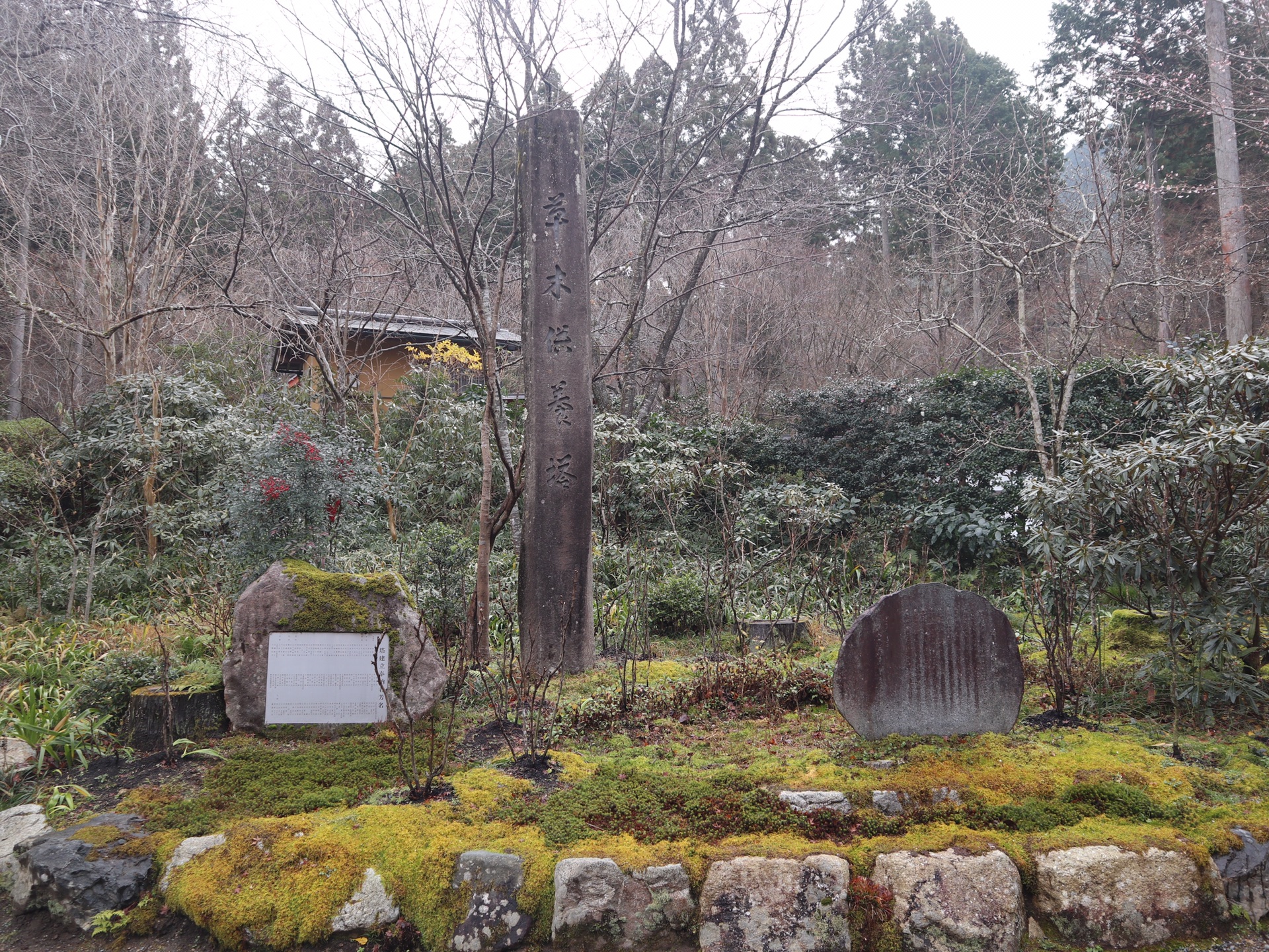 京都自助遊攻略