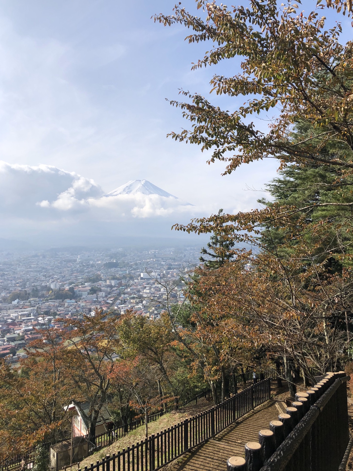 東京自助遊攻略