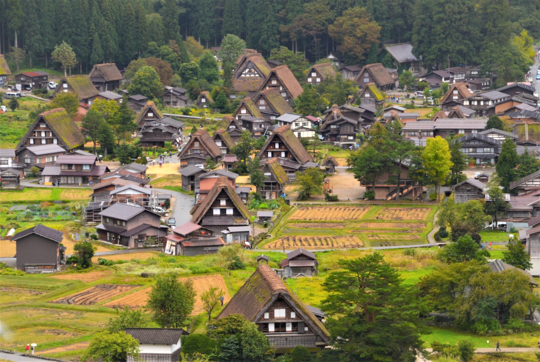 名古屋自助遊攻略