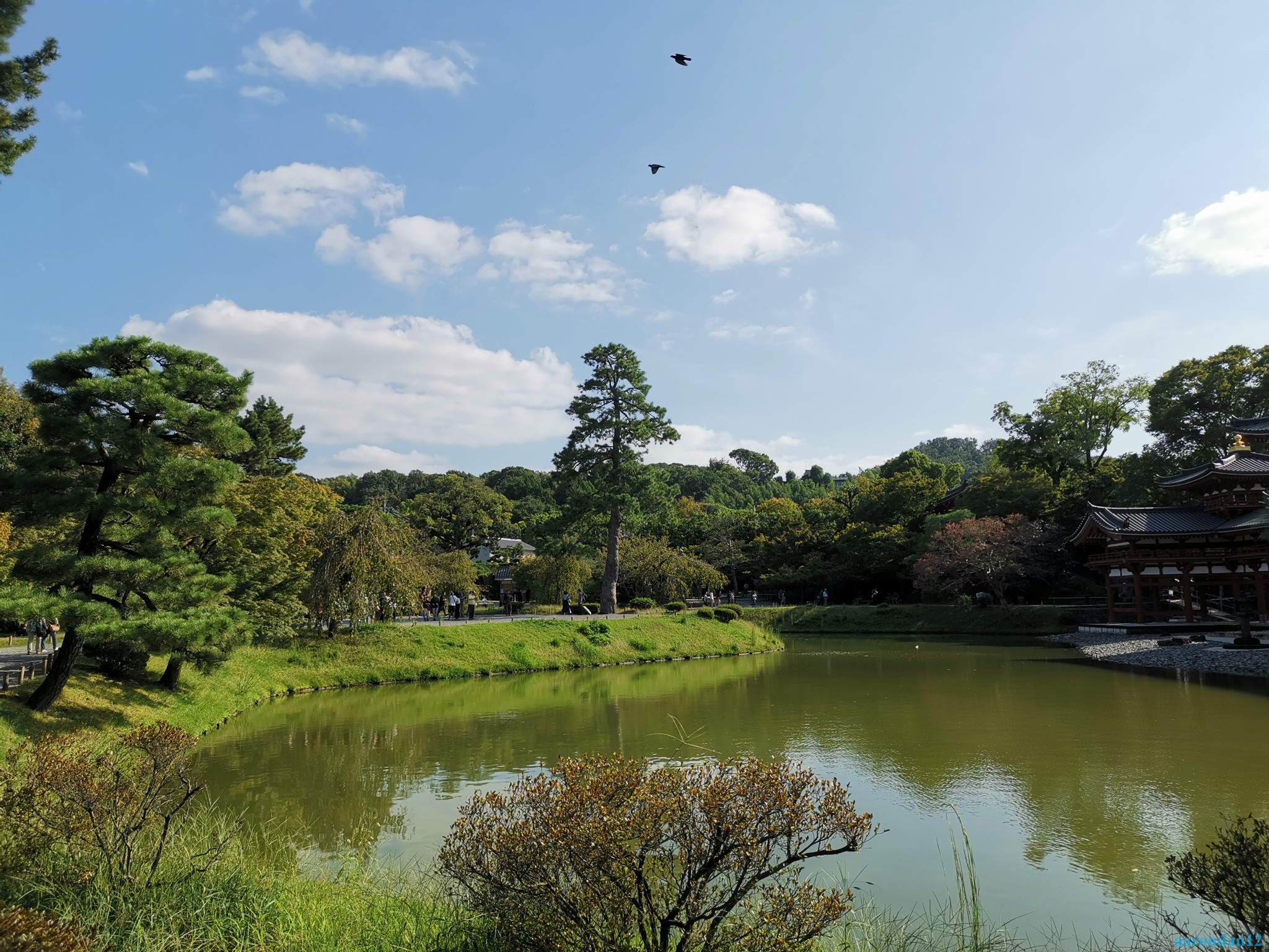 京都自助遊攻略