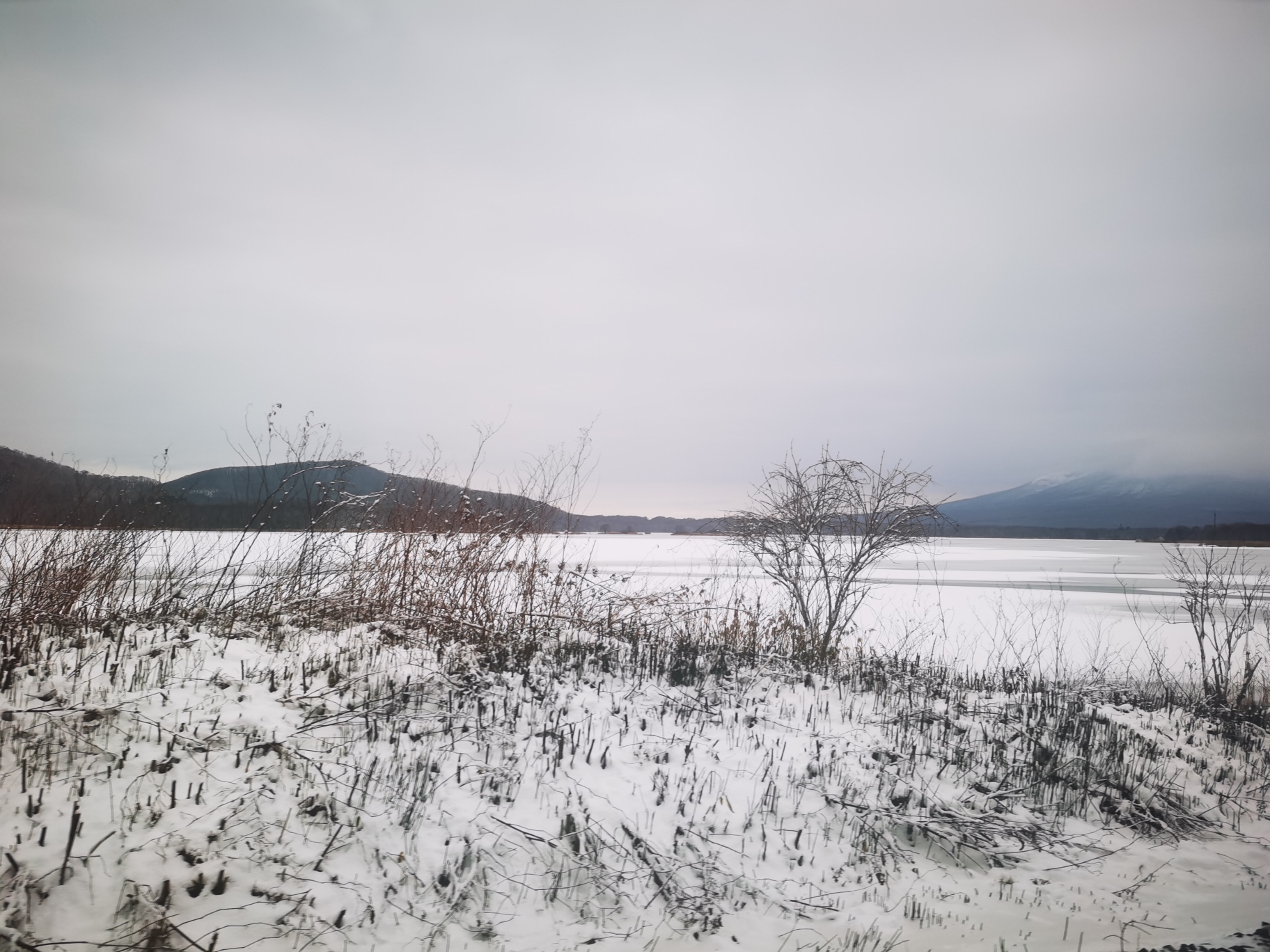 北海道自助遊攻略