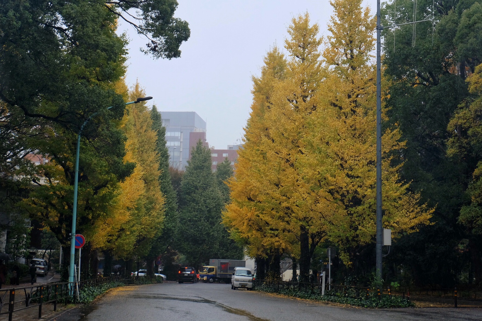 東京自助遊攻略