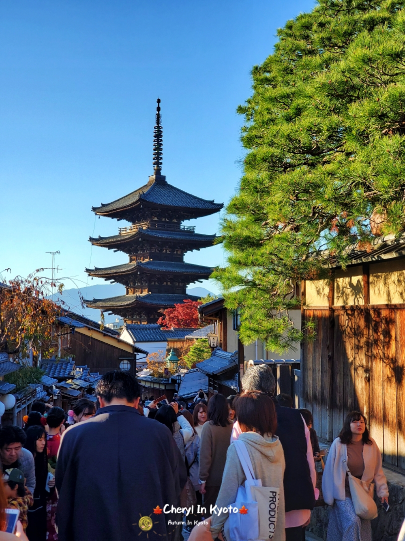 京都自助遊攻略