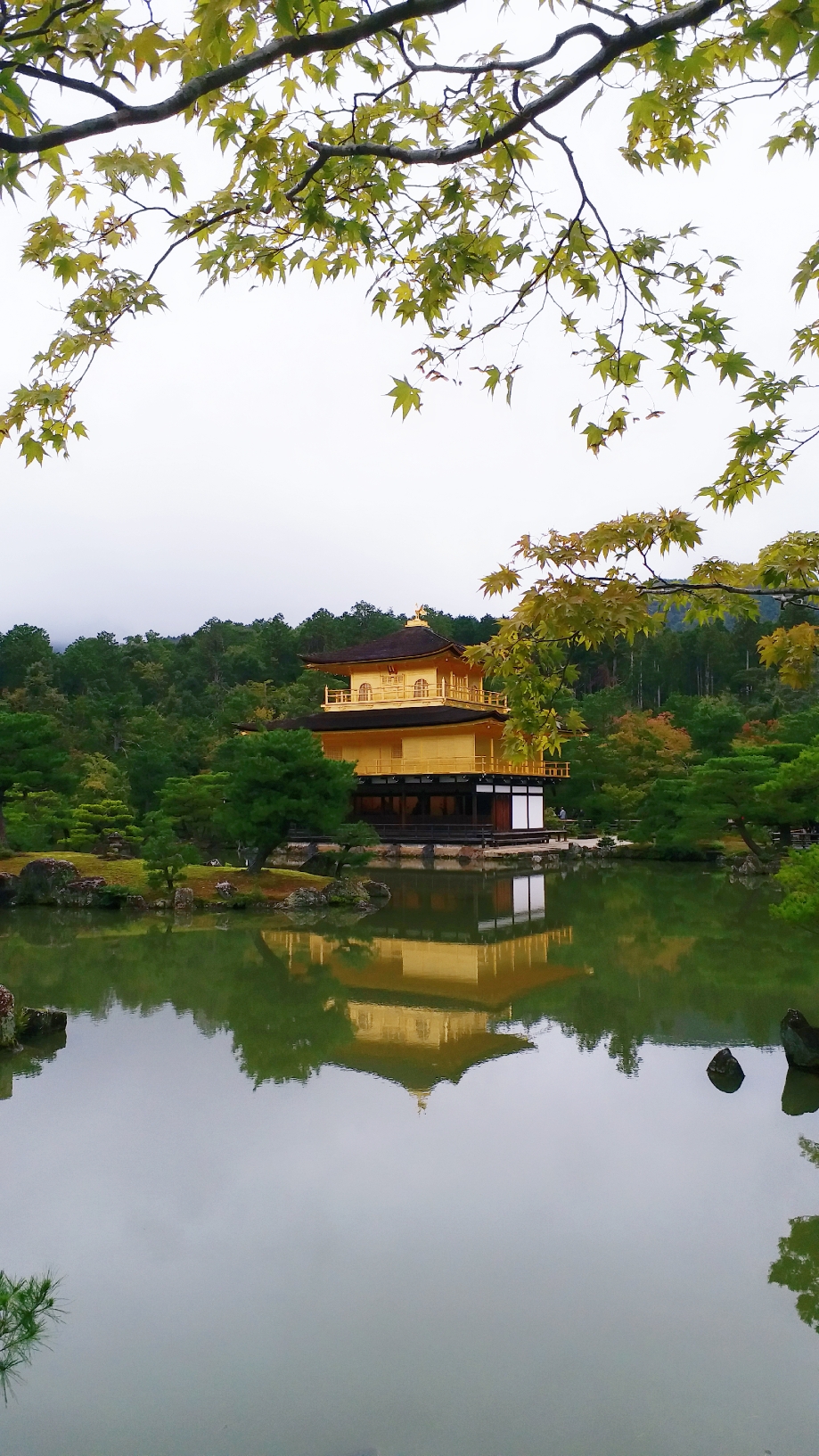 京都自助遊攻略