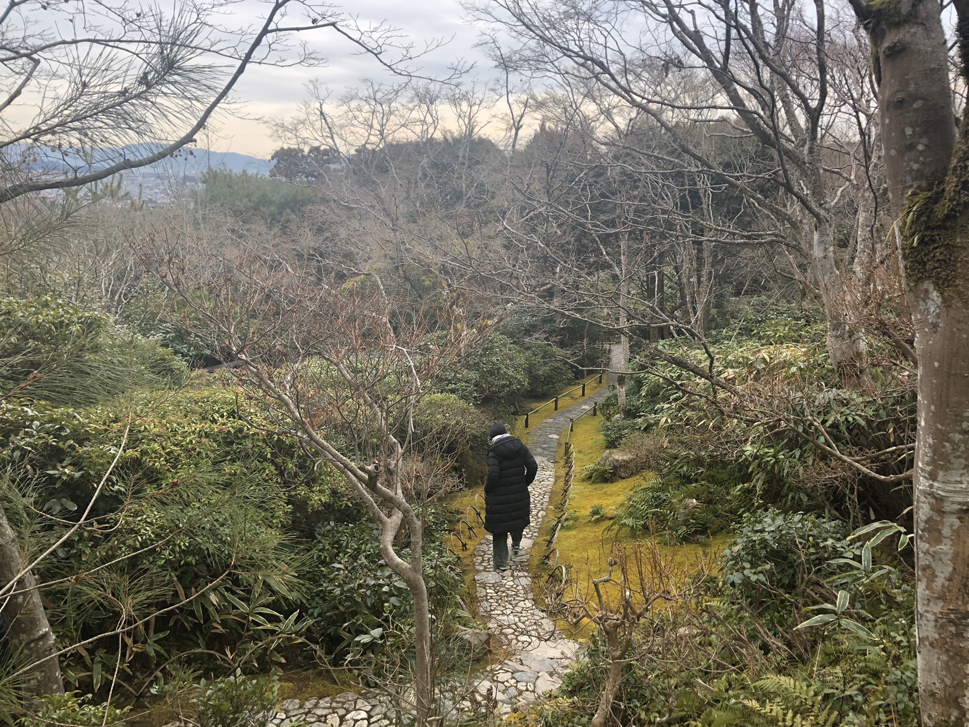 京都自助遊攻略