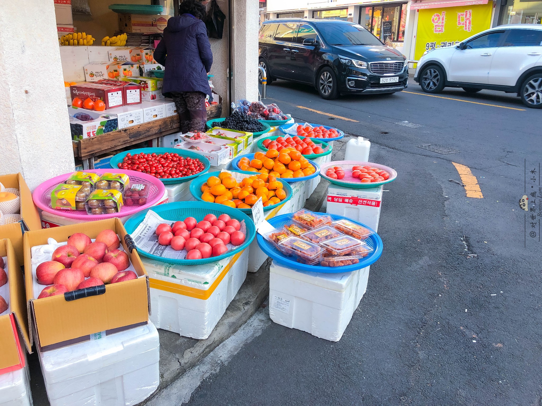 濟州島自助遊攻略