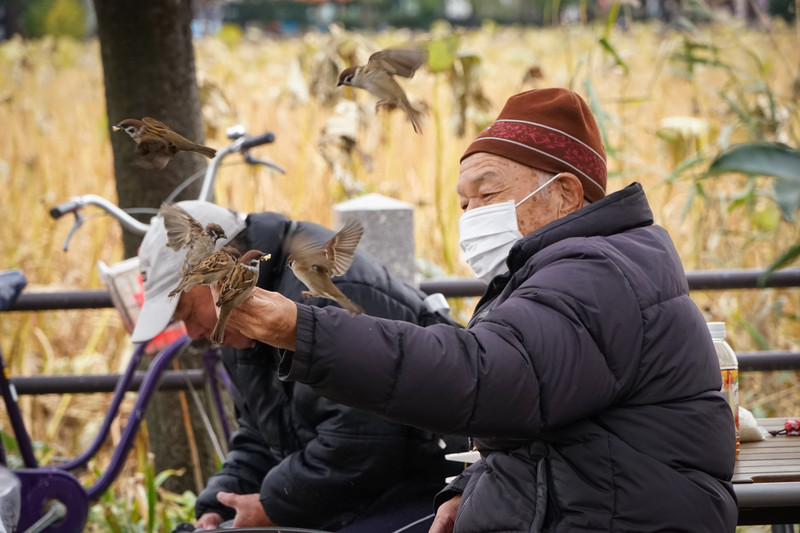 日本自助遊攻略