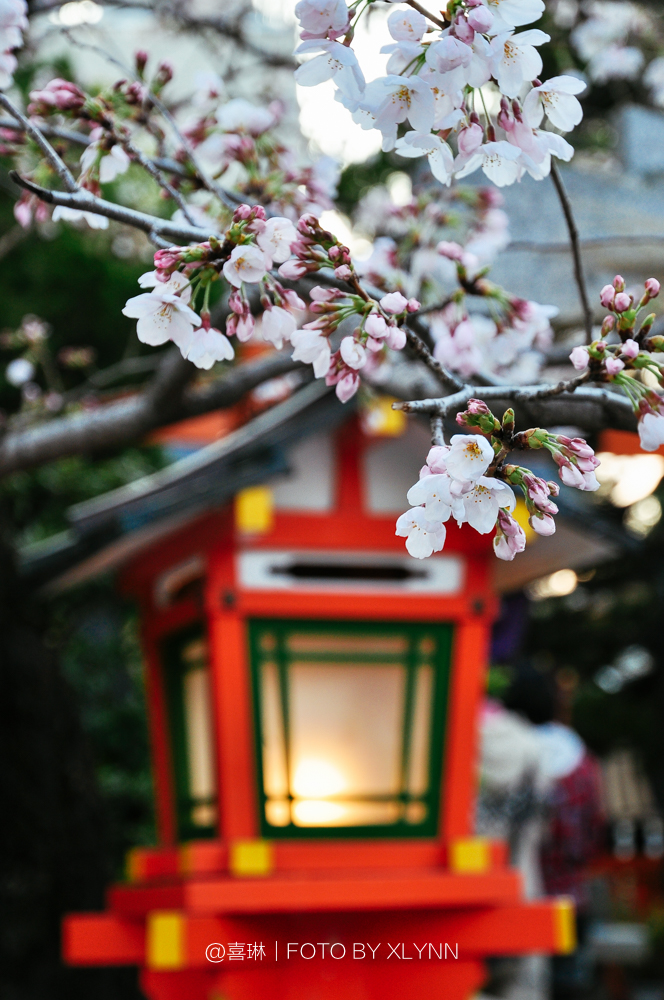 京都自助遊攻略